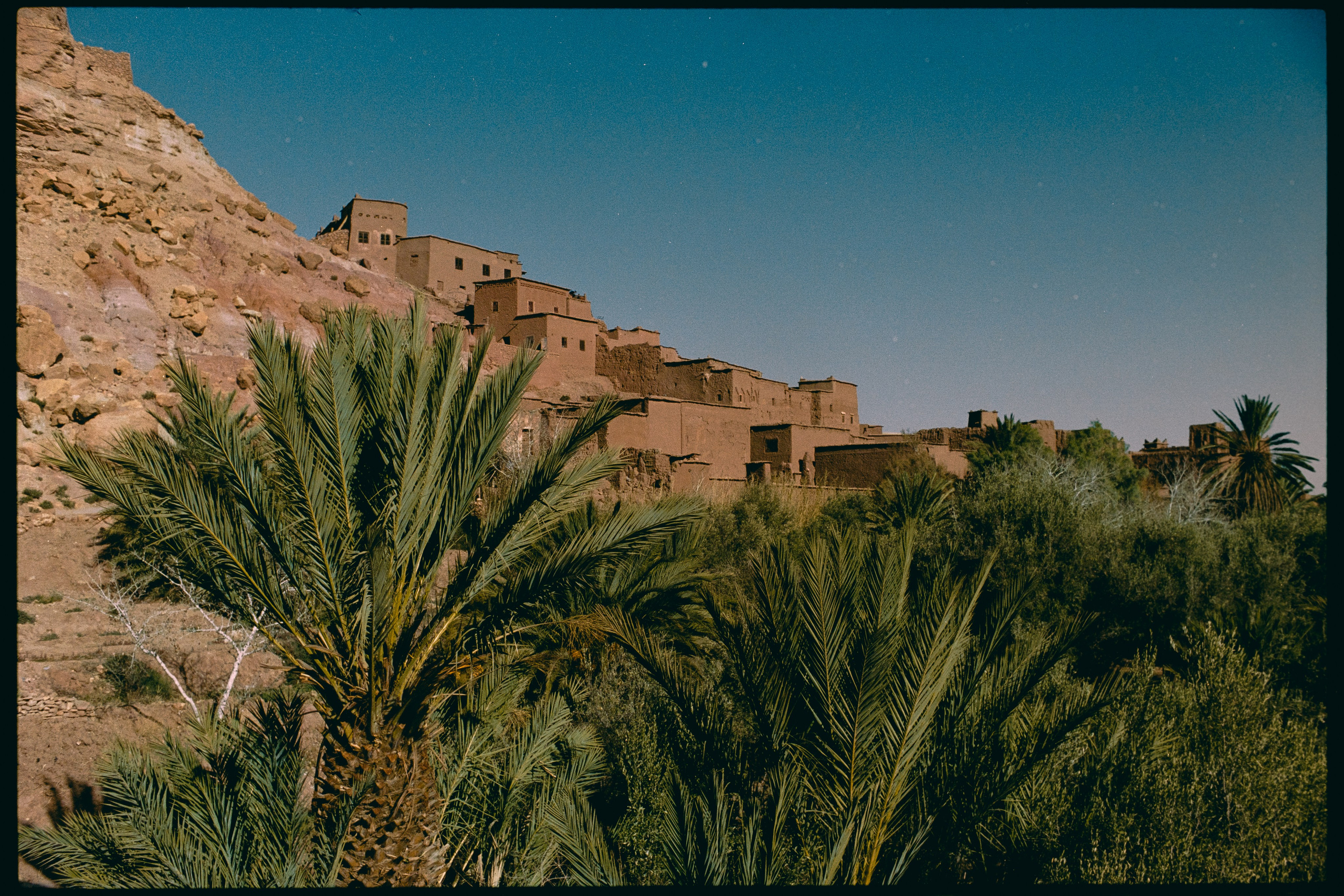 Марокко (плёнка Алёны). Игорь Гичка. Портрет с любовью