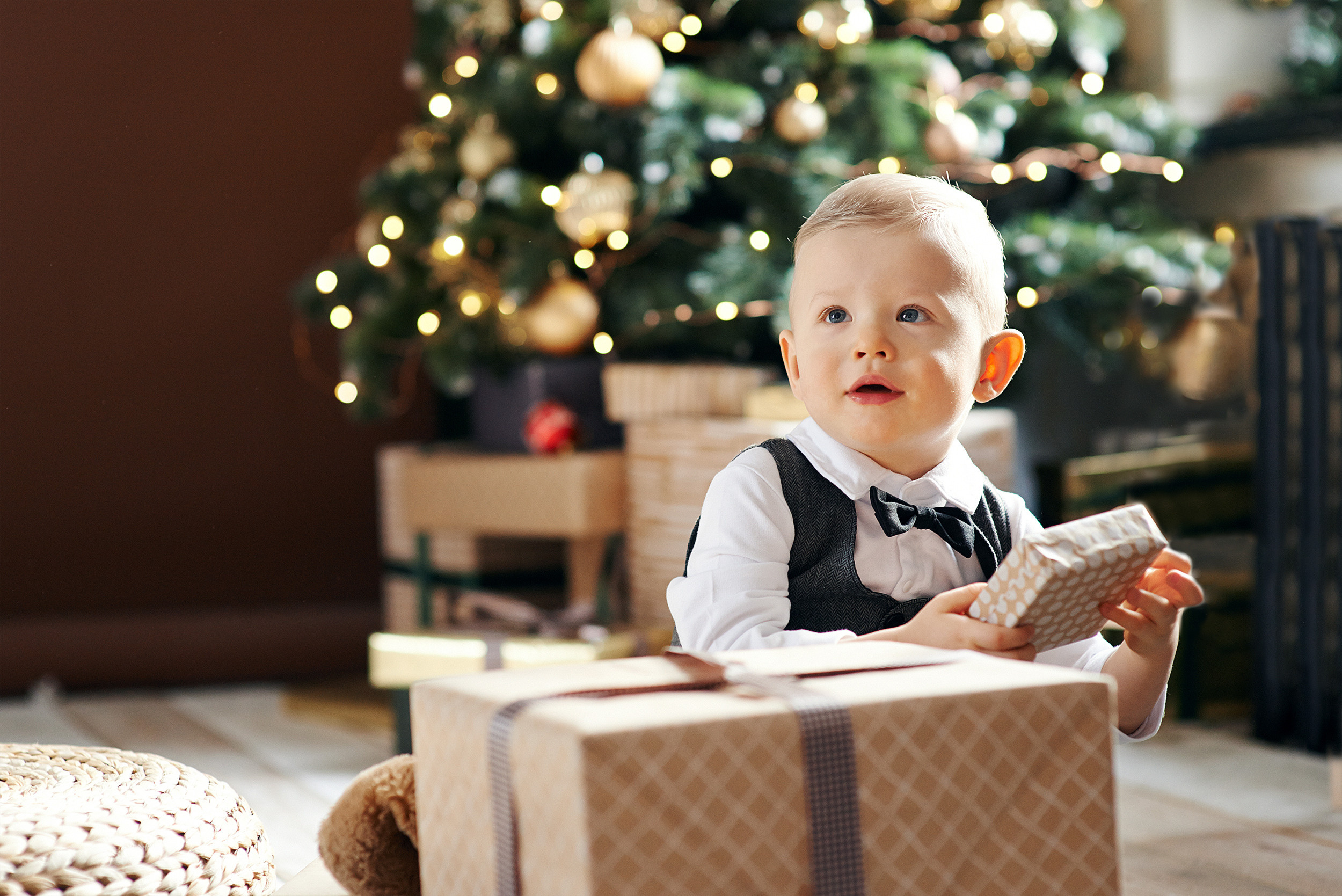 Новогодние подарки. Фотограф в Луганске Лариса Аксёнова