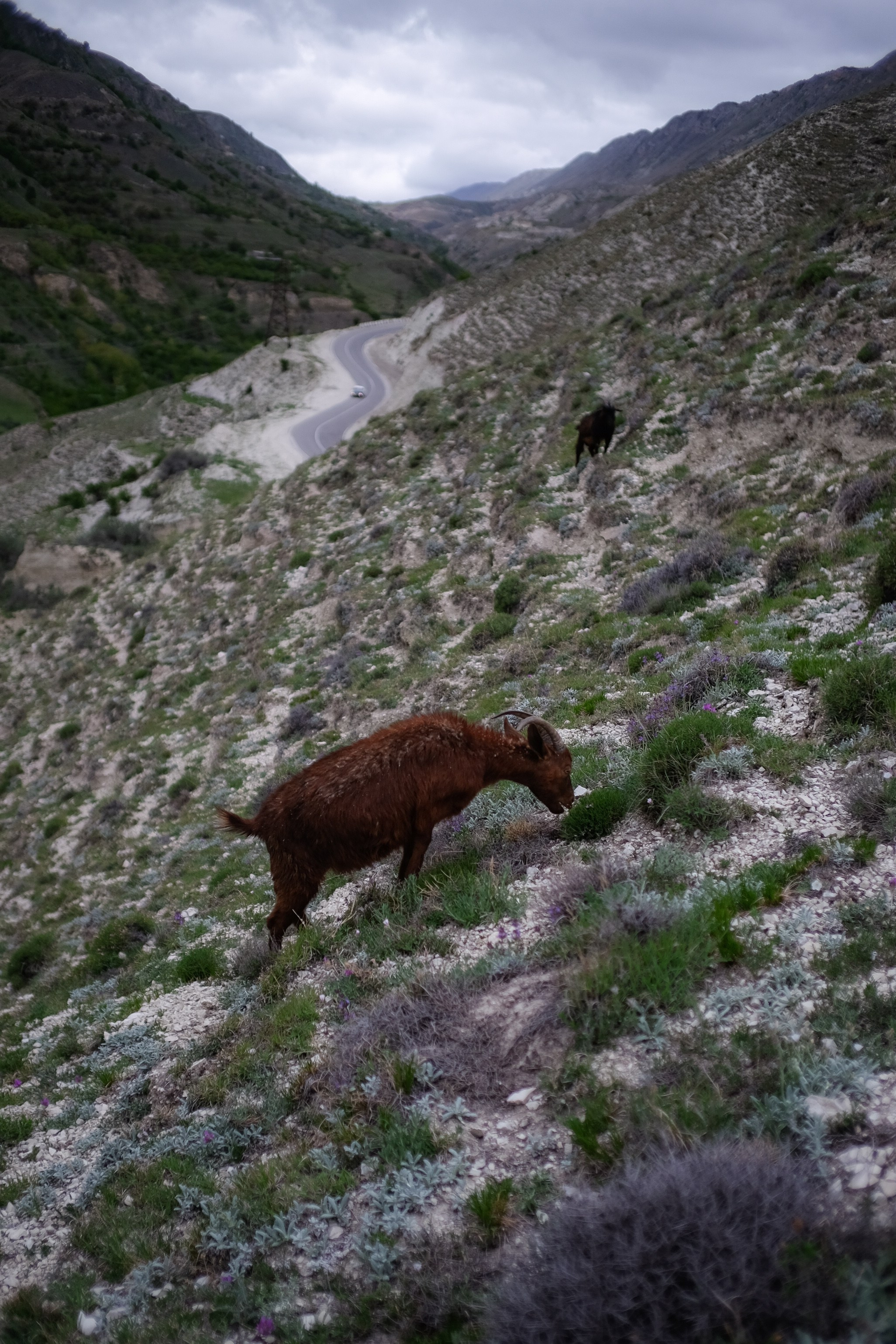 Поездки по России. Трандин Иван Фотограф СПб