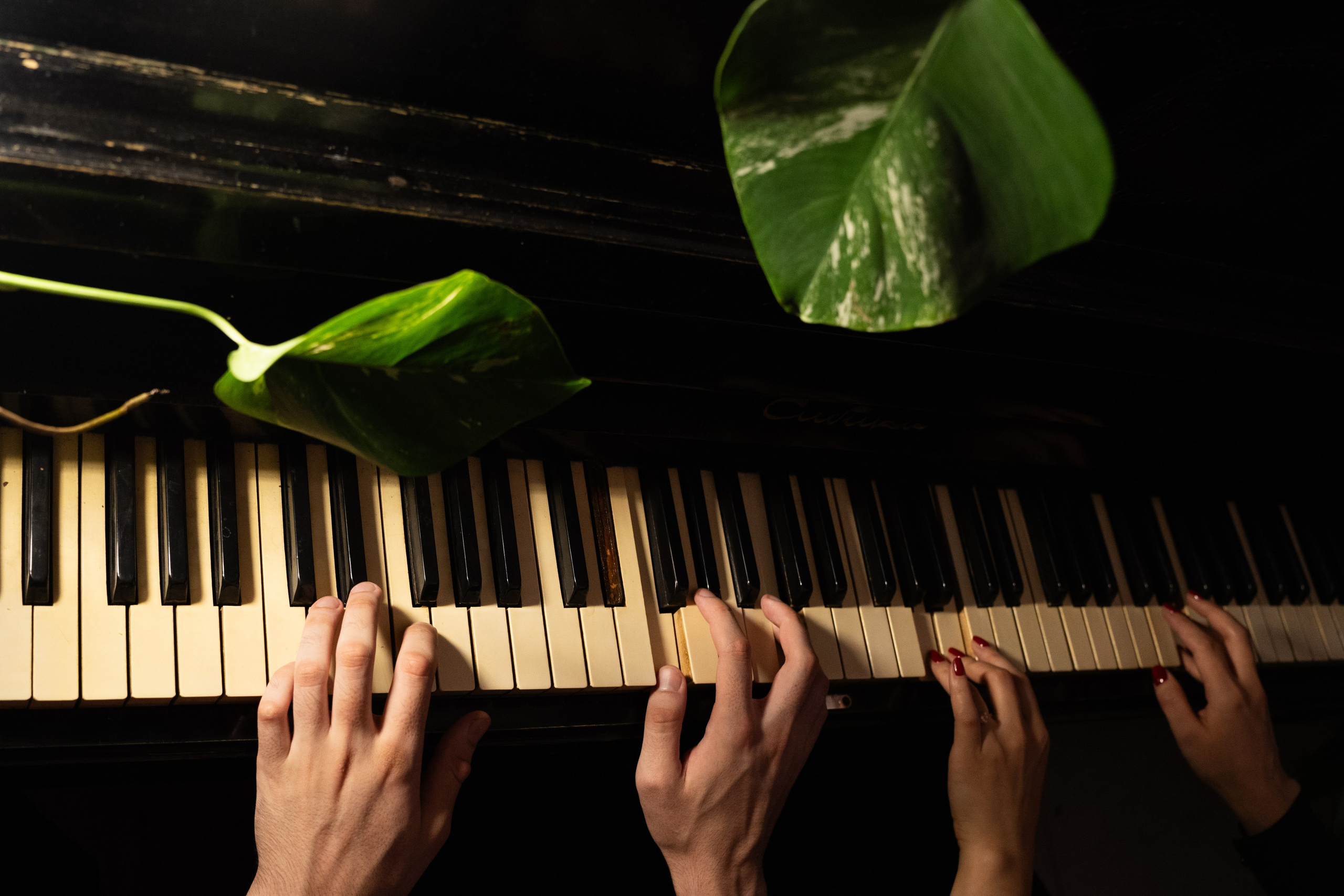 Практика. Фотограф Томск Новосибирск Елизавета Вахтеева