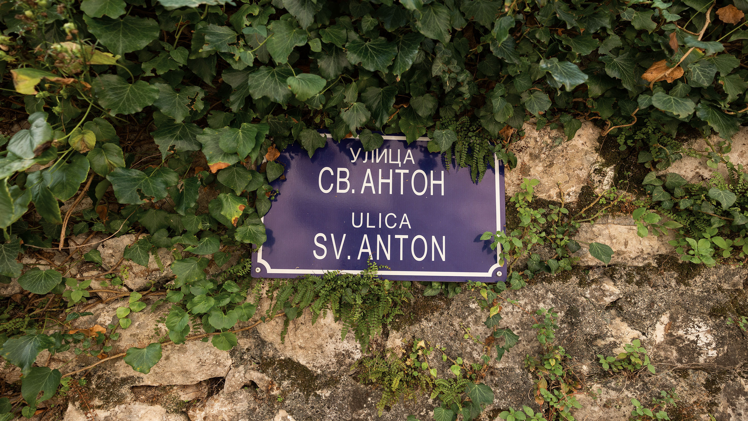 Рисан и Пераст. Портретный фотограф, контент фотограф, продающие фото в Москве и МО