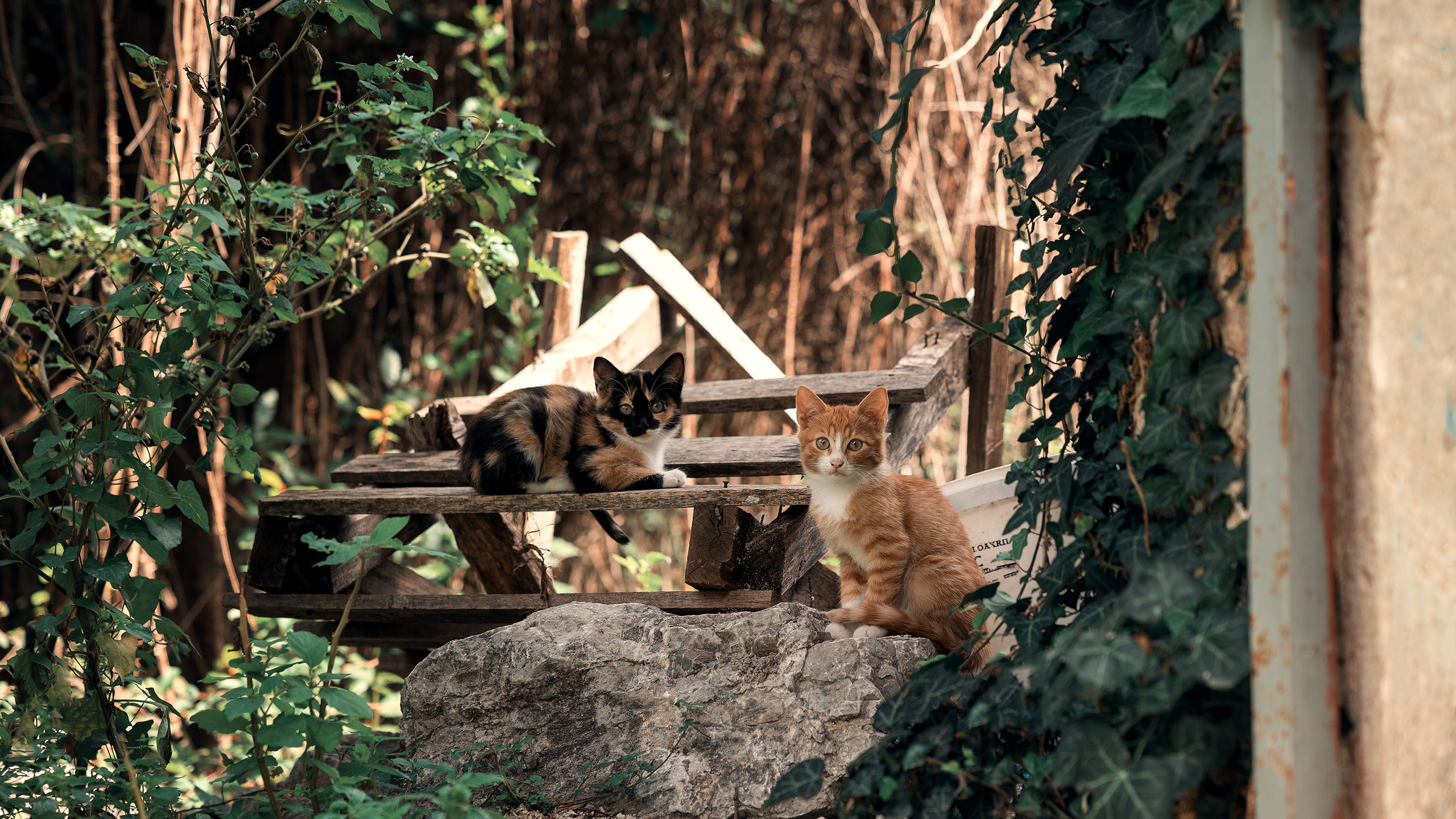 Рисан и Пераст. Портретный фотограф, контент фотограф, продающие фото в Москве и МО
