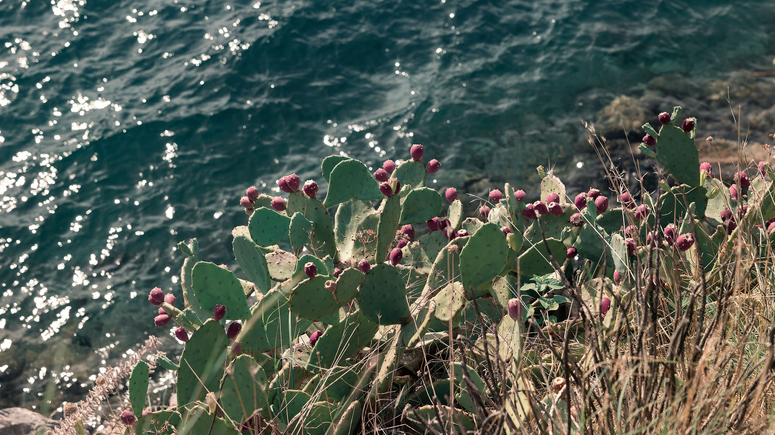 Рисан и Пераст. Портретный фотограф, контент фотограф, продающие фото в Москве и МО