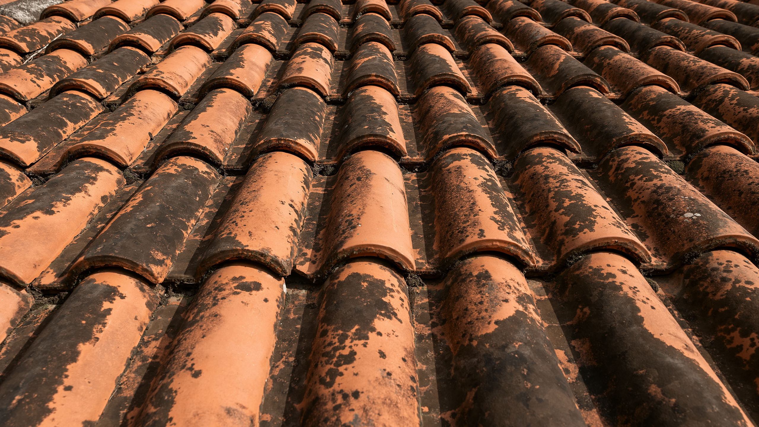 Рисан и Пераст. Портретный фотограф, контент фотограф, продающие фото в Москве и МО