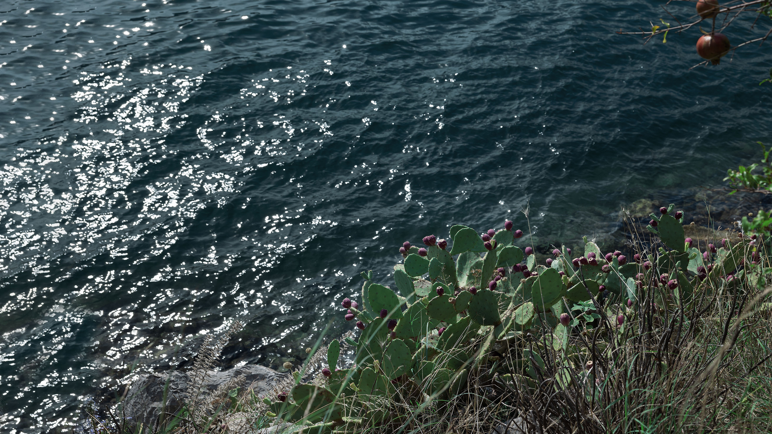 Рисан и Пераст. Портретный фотограф, контент фотограф, продающие фото в Москве и МО