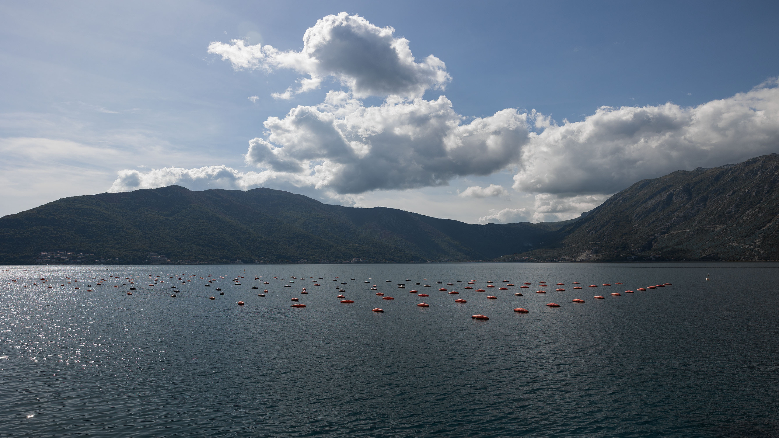 Рисан и Пераст. Портретный фотограф, контент фотограф, продающие фото в Москве и МО