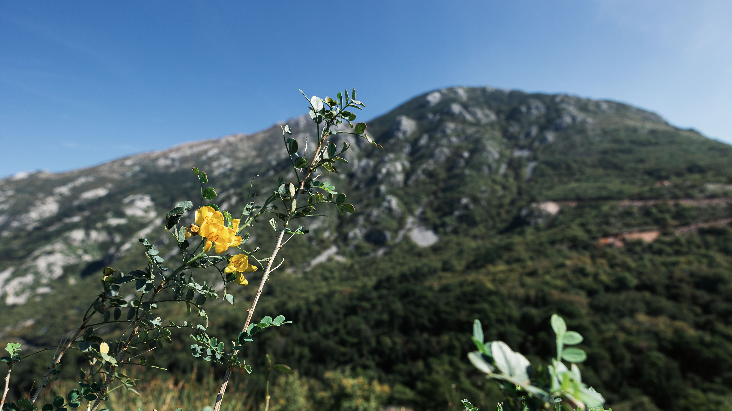 Монастырь Острог и дорога к нему. Портретный фотограф, контент фотограф, продающие фото в Москве и МО