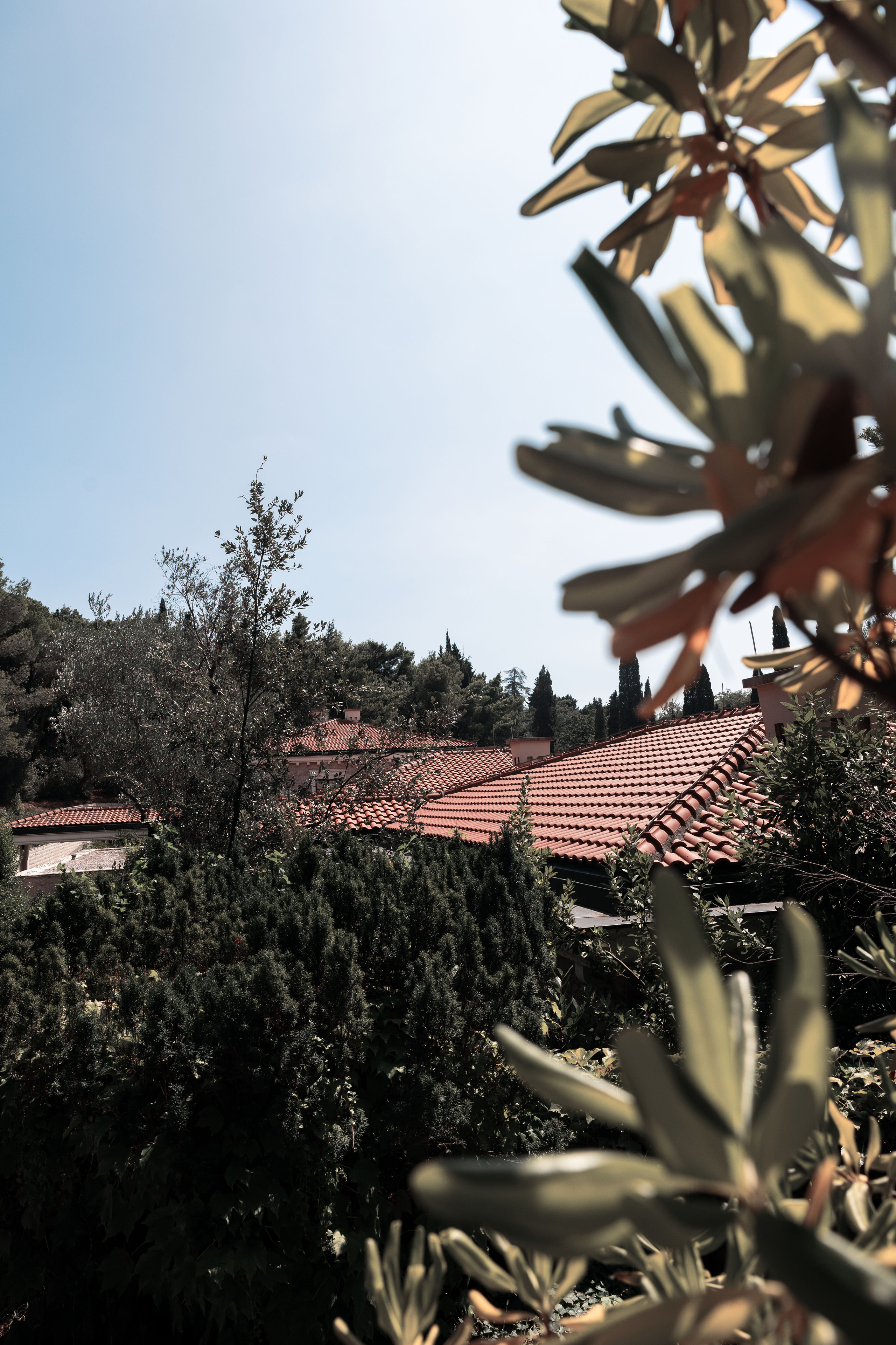 Свети Стефан. Портретный фотограф, контент фотограф, продающие фото в Москве и МО