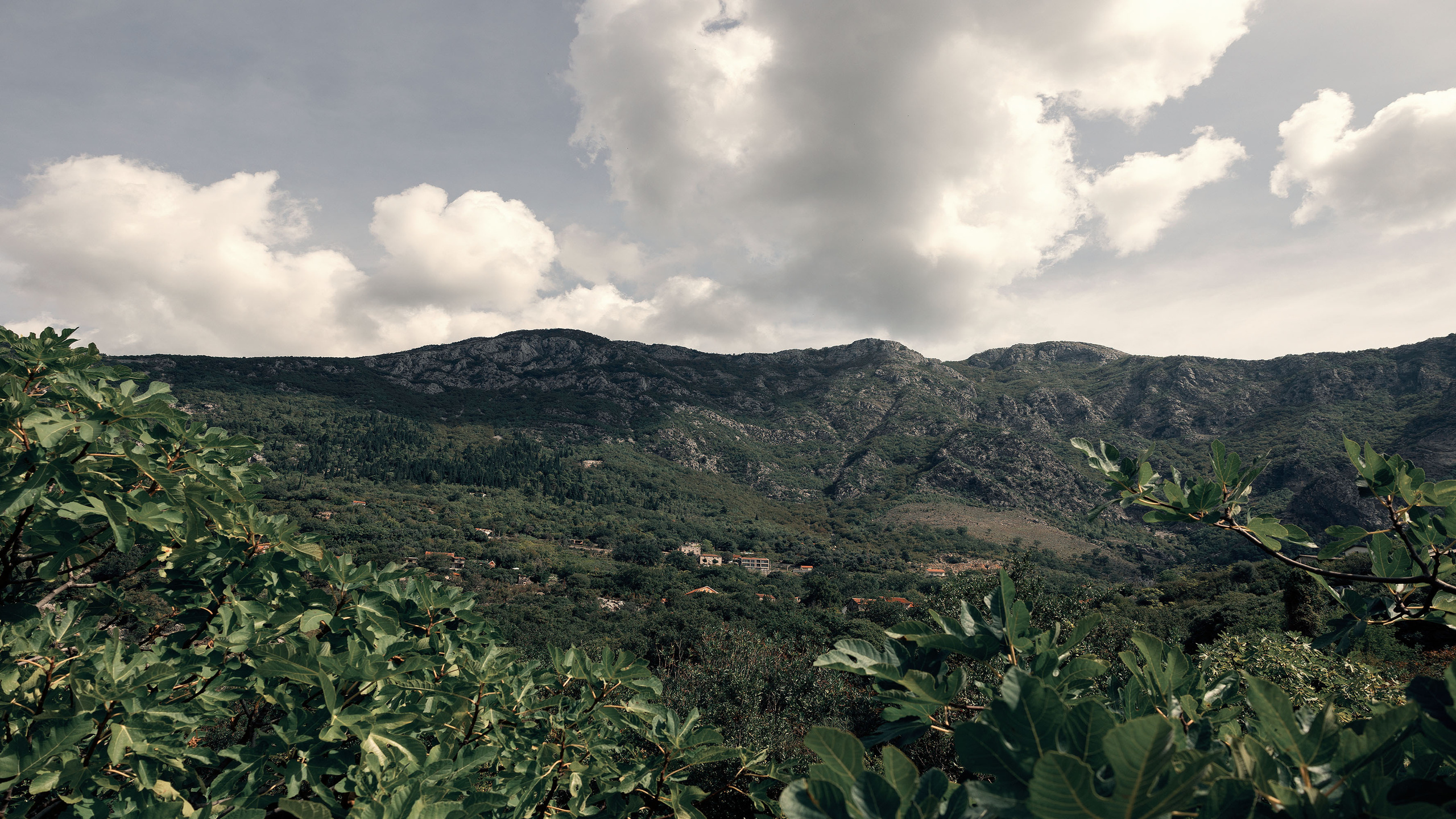 Рисан и Пераст. Портретный фотограф, контент фотограф, продающие фото в Москве и МО