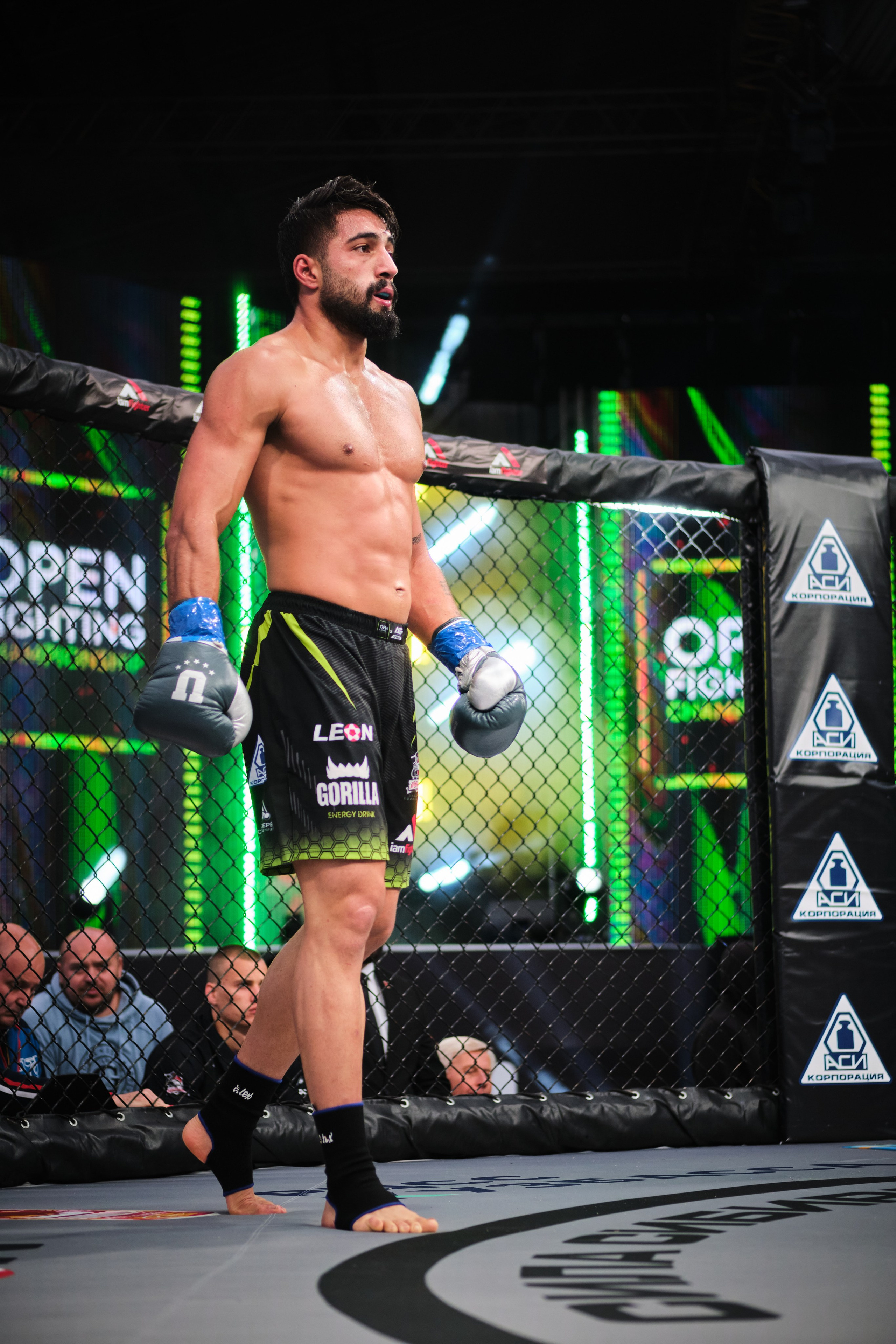 ММА на ПРО ГЕШ. Свадебный и семейный фотограф в Новокузнецке Иван Иванов