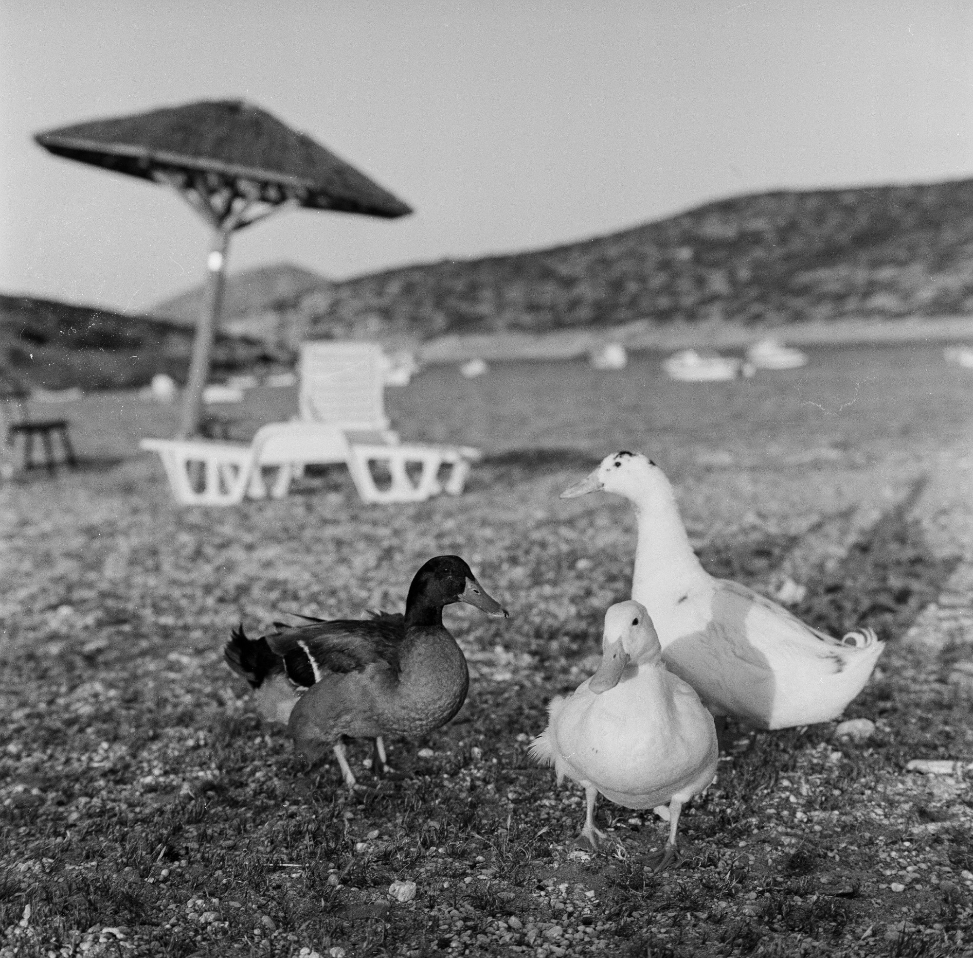 LANDSCAPE. Portrait and business photographer in Moscow Andrey Nikolsky