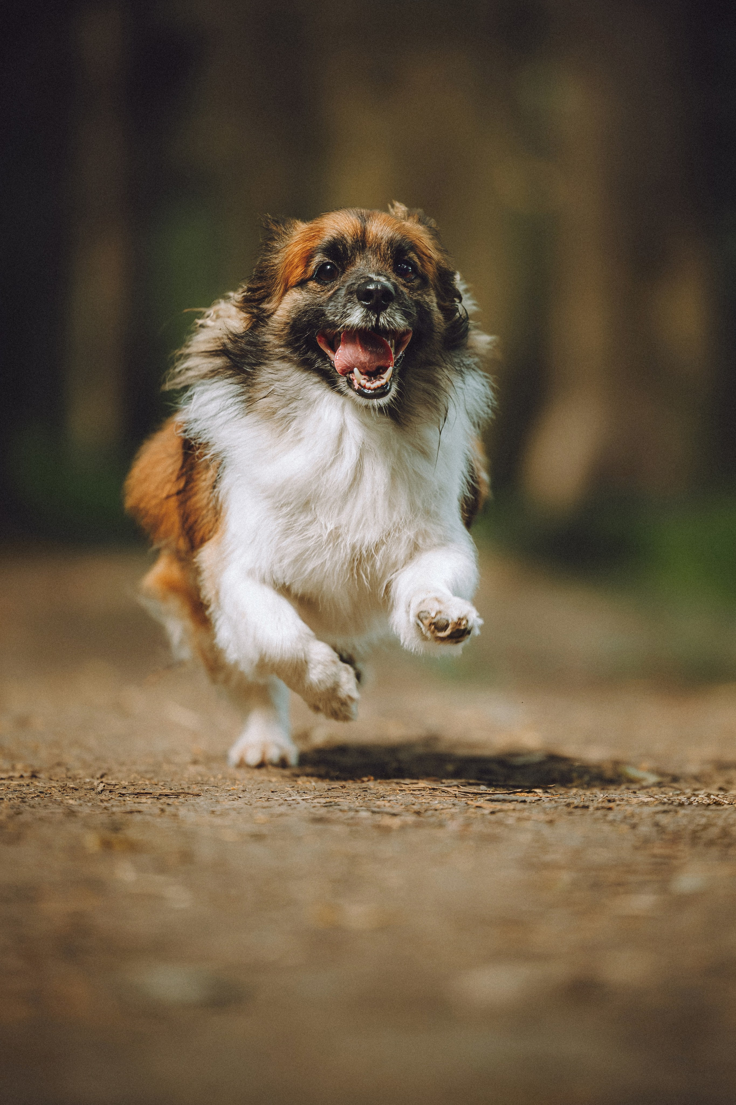 Катя, Андрей, Гектор, Ричи, Тортик и Трой