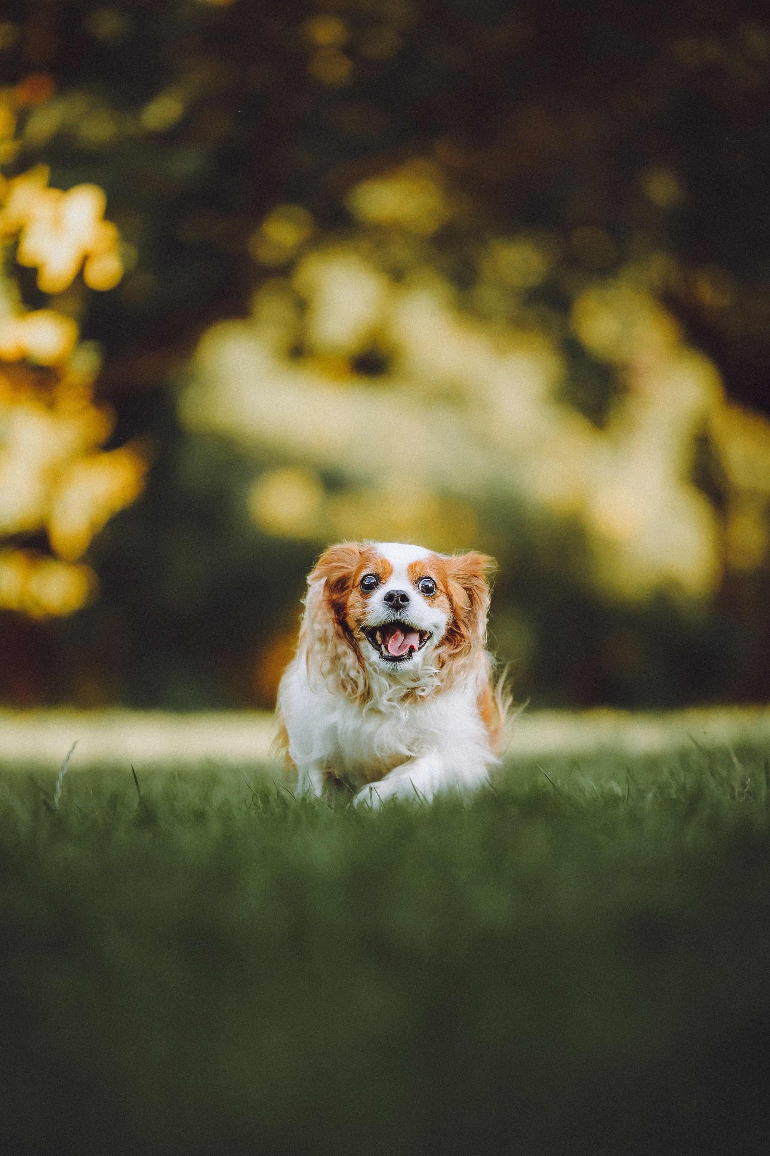 Наташа и Вики