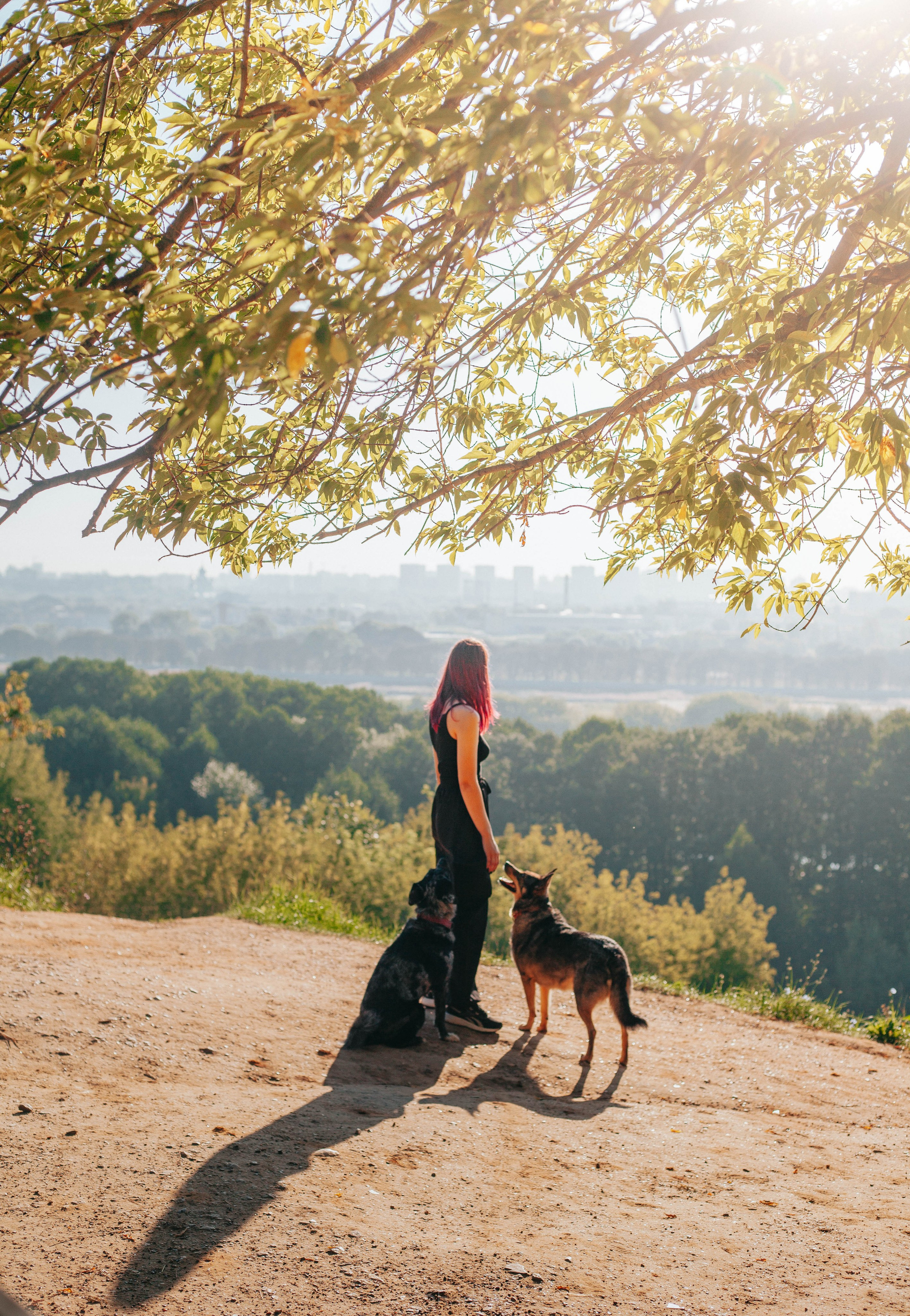 Вега и Гриша. Главная