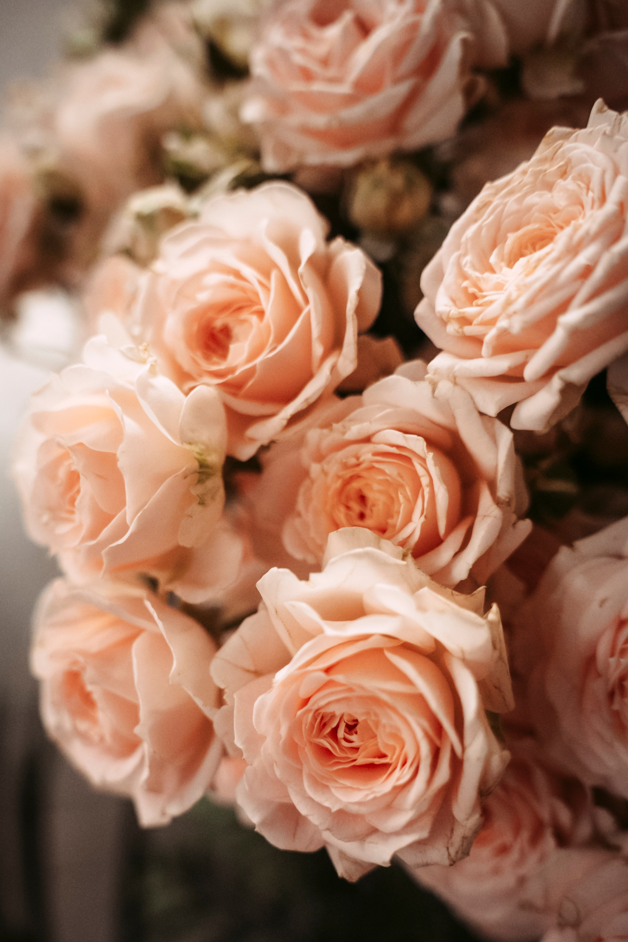 Цветочный андеграунд. Главная