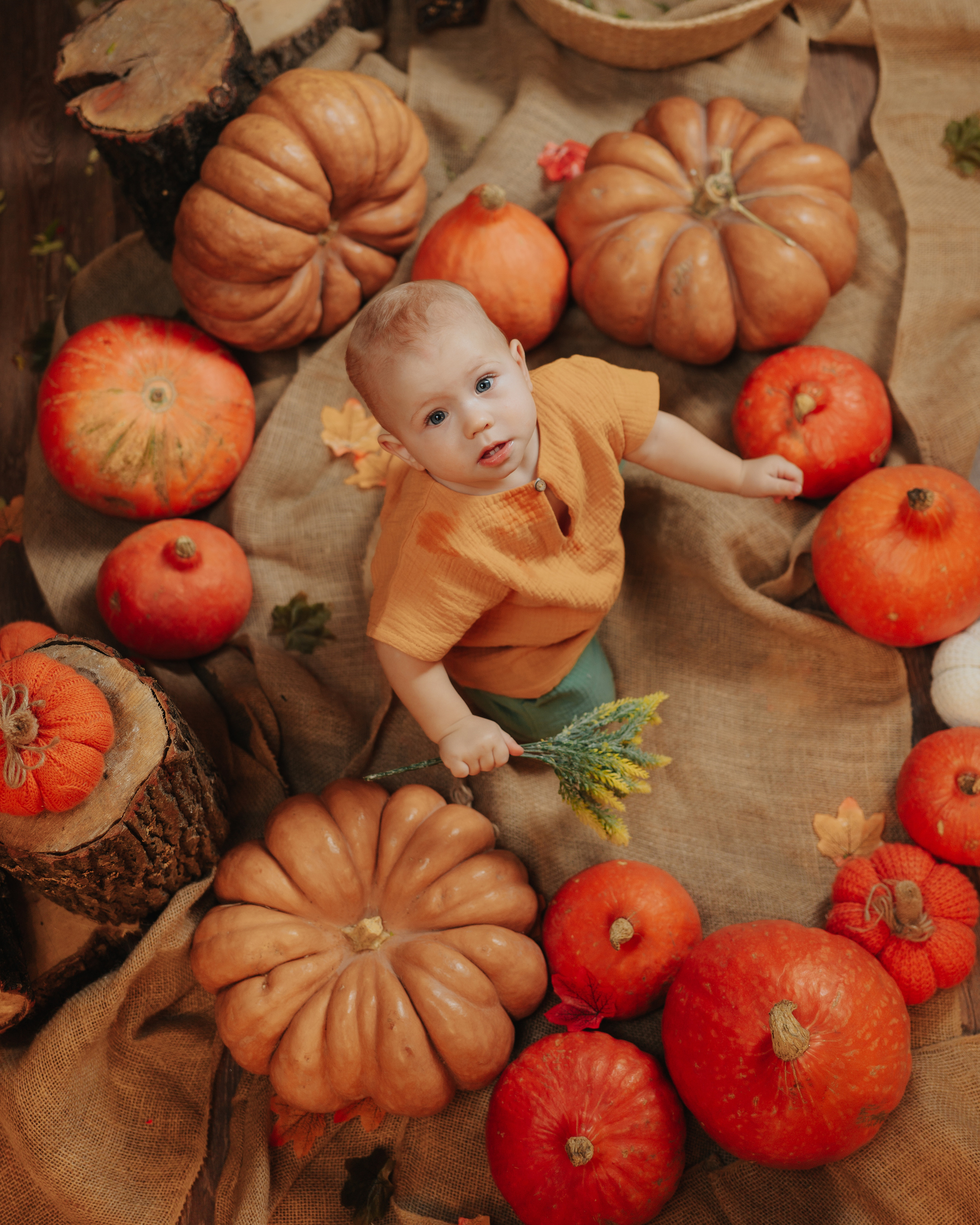 Детские съемки. Студия Davinchi — Фото и видеосъёмка свадеб и мероприятий