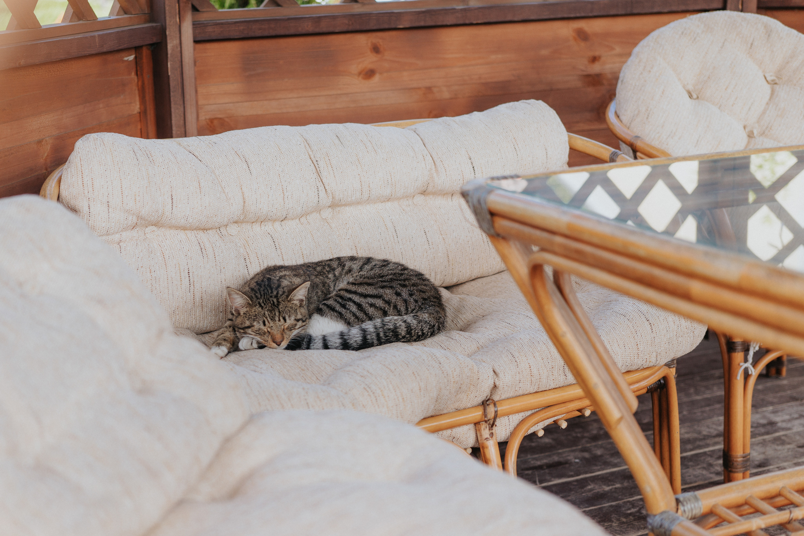 Роман и Анна. Студия Davinchi — Фото и видеосъёмка свадеб и мероприятий