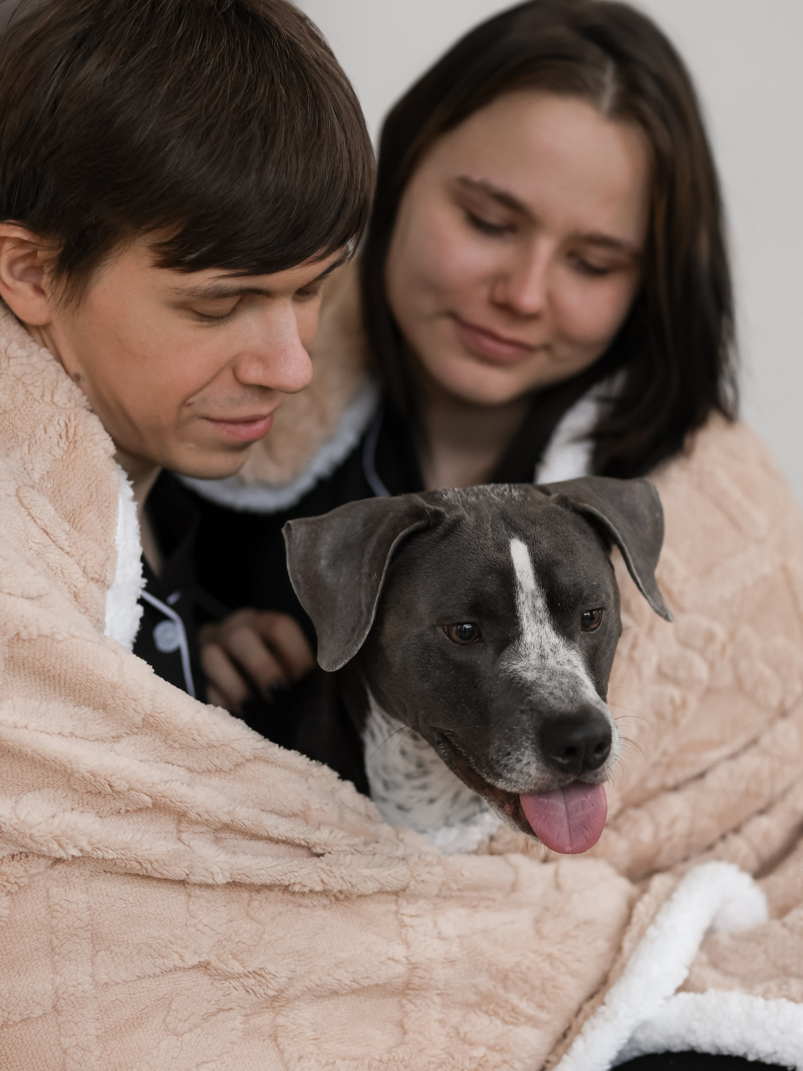 Тортик Даша и Никита. Фотограф-анималист в Москве Кириллова Татьяна