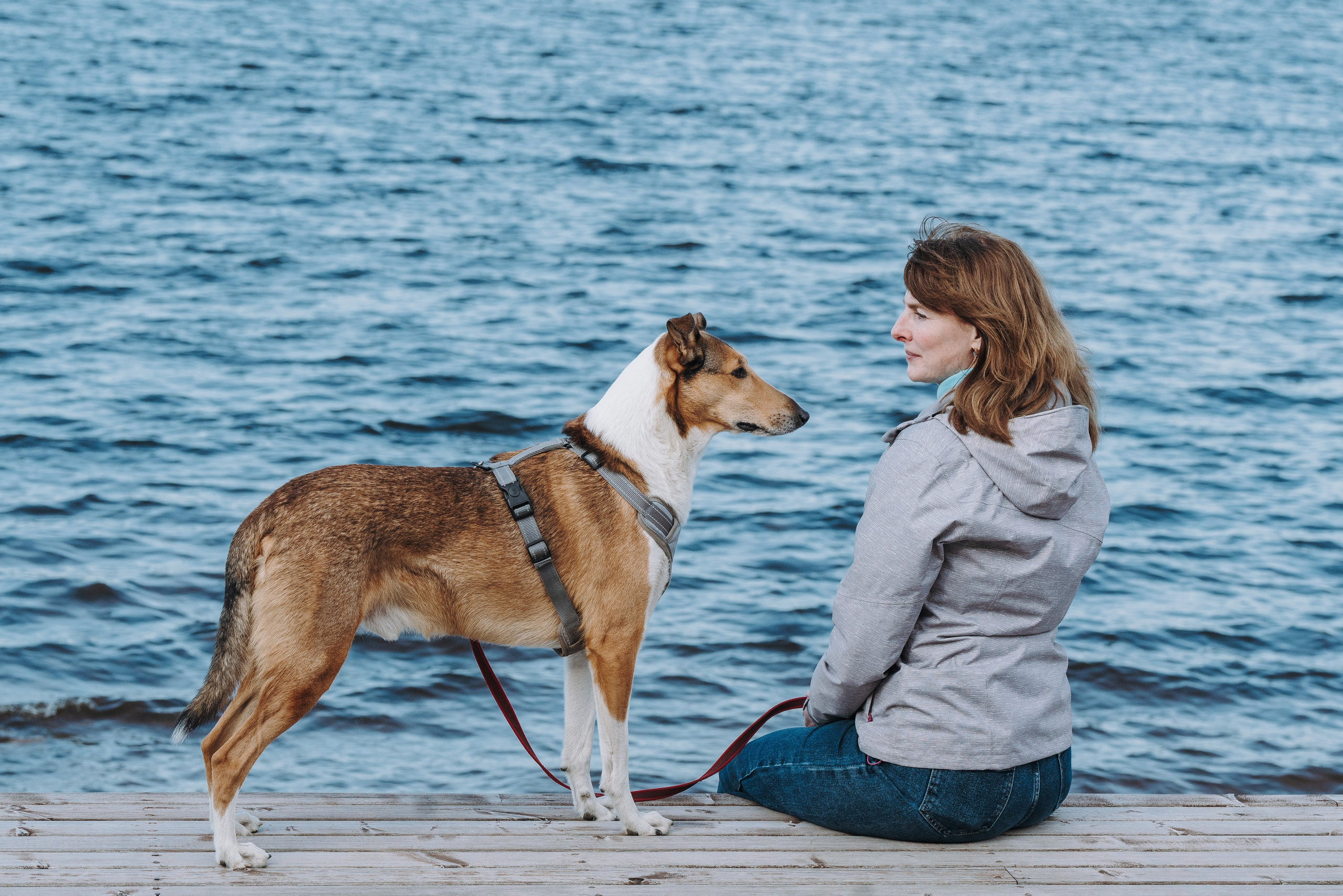 Соревнования по ноузворку в Лосево. Фотограф анималист в Спб недорого Олеся Майорова