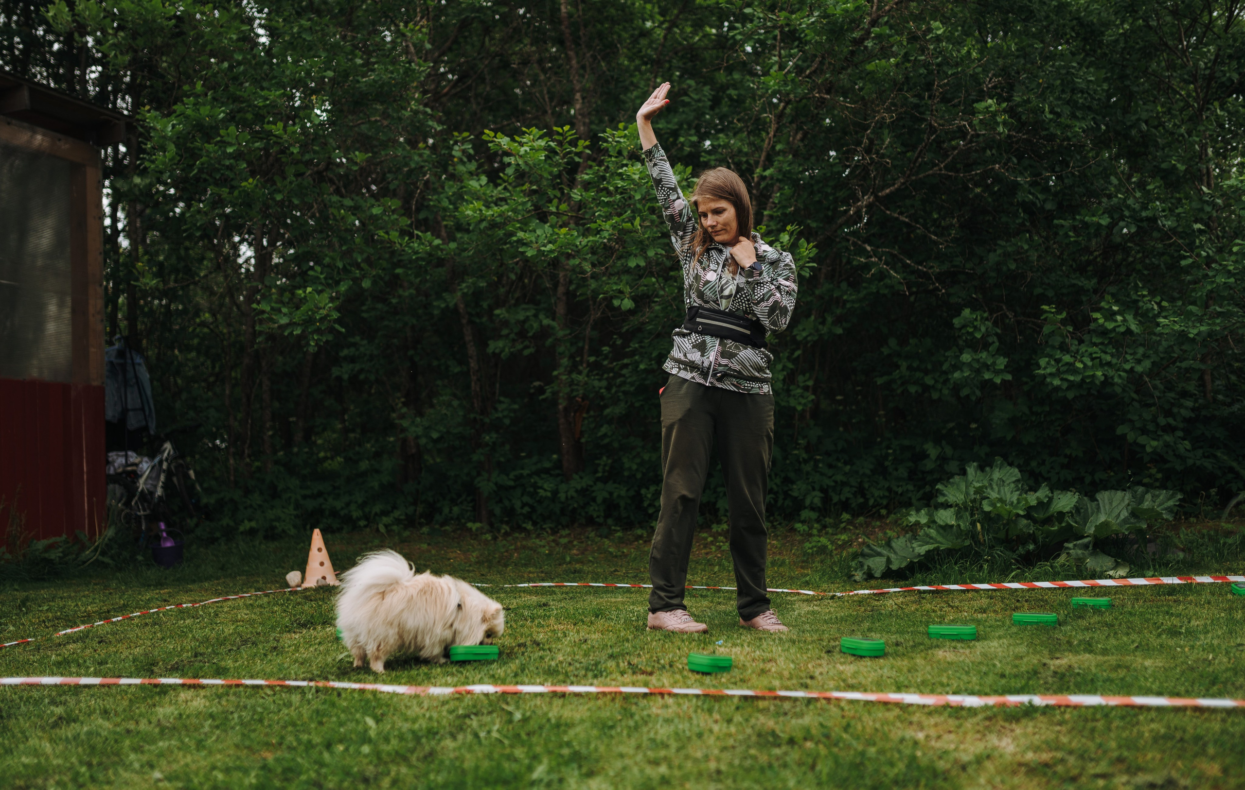 Соревнования по ноузворку. Фотограф анималист в Спб недорого Олеся Майорова