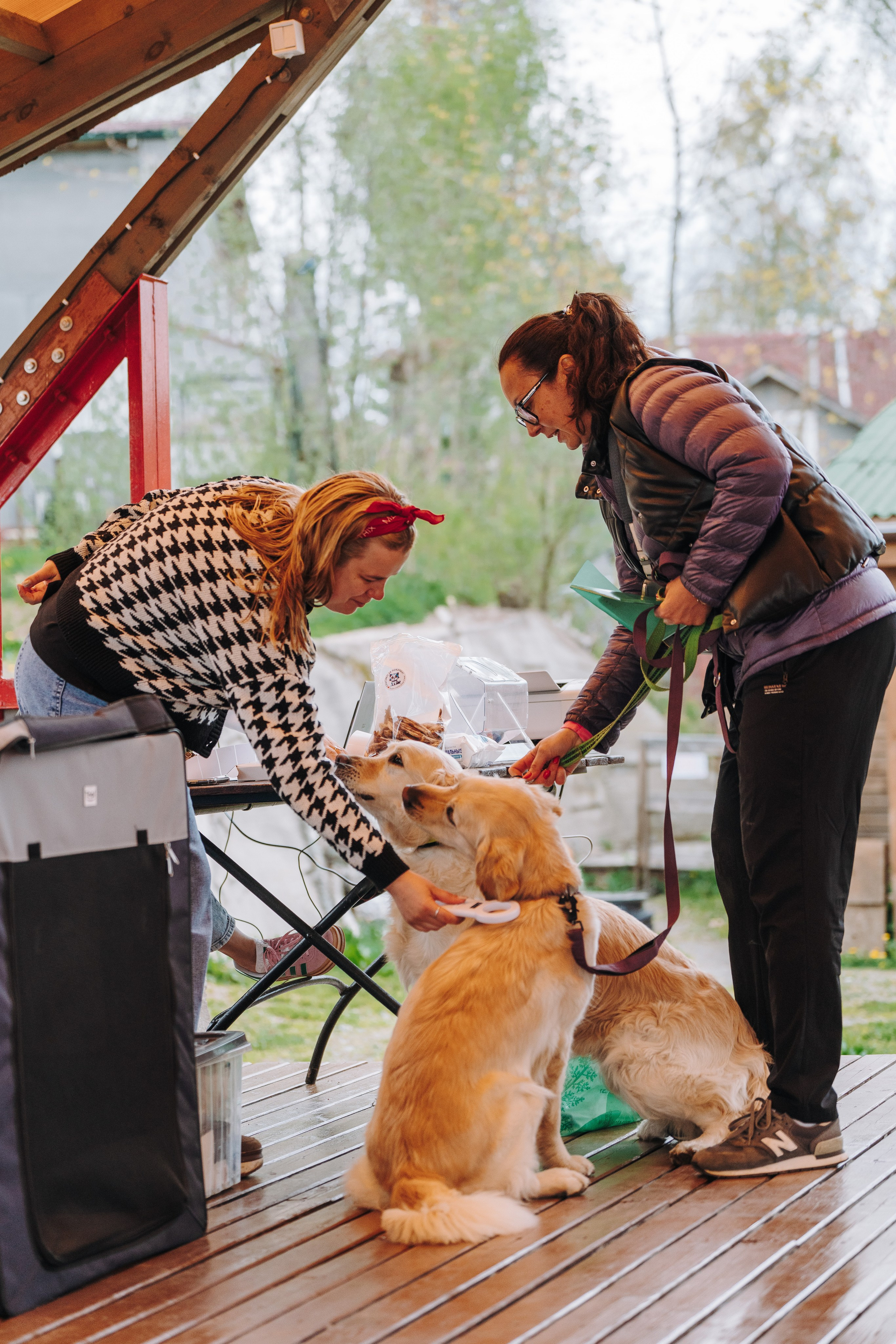 Соревнования по ноузворку в Лосево. Фотограф анималист в Спб недорого Олеся Майорова