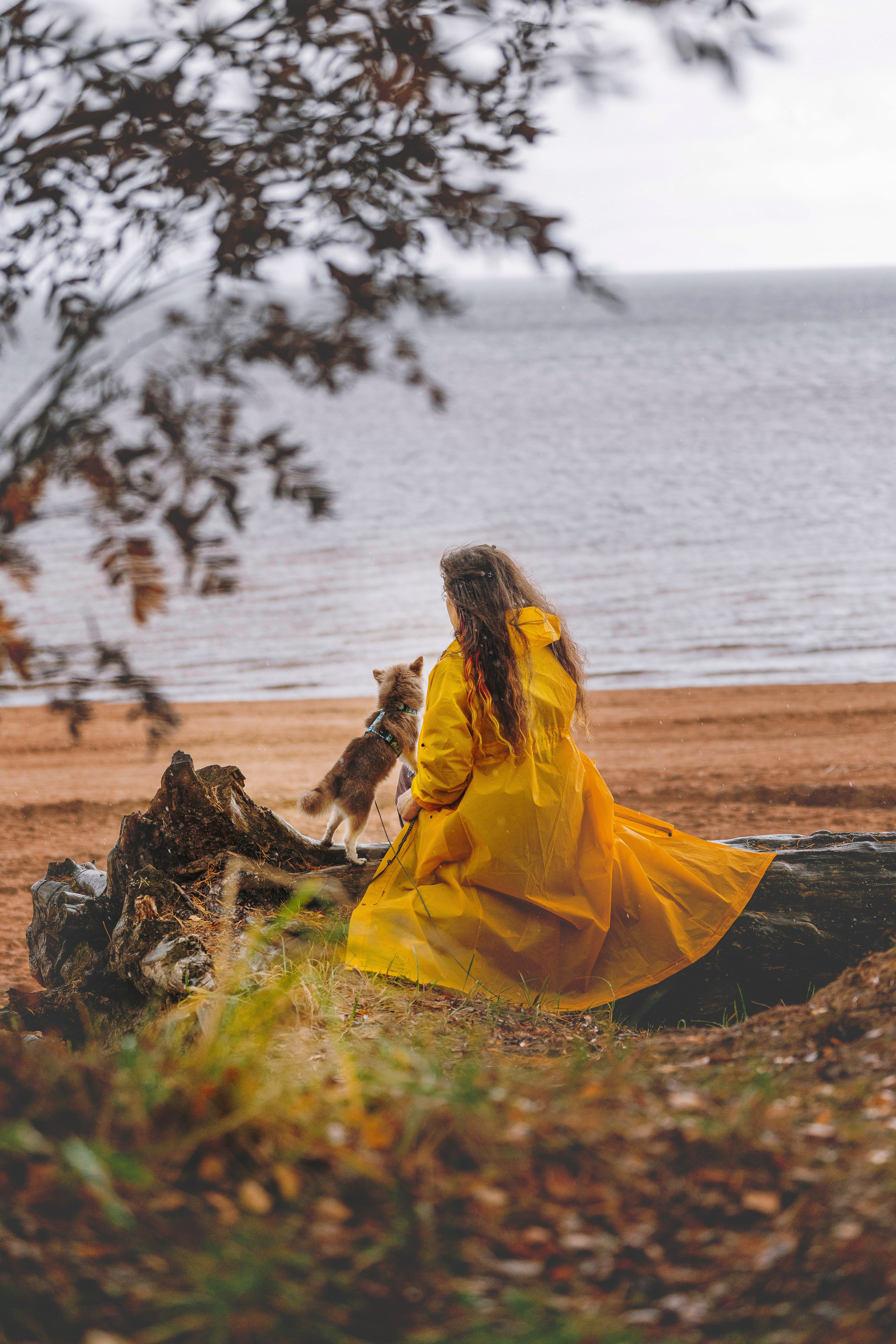 Катерина и Дрэка. Фотограф анималист в Спб недорого Олеся Майорова