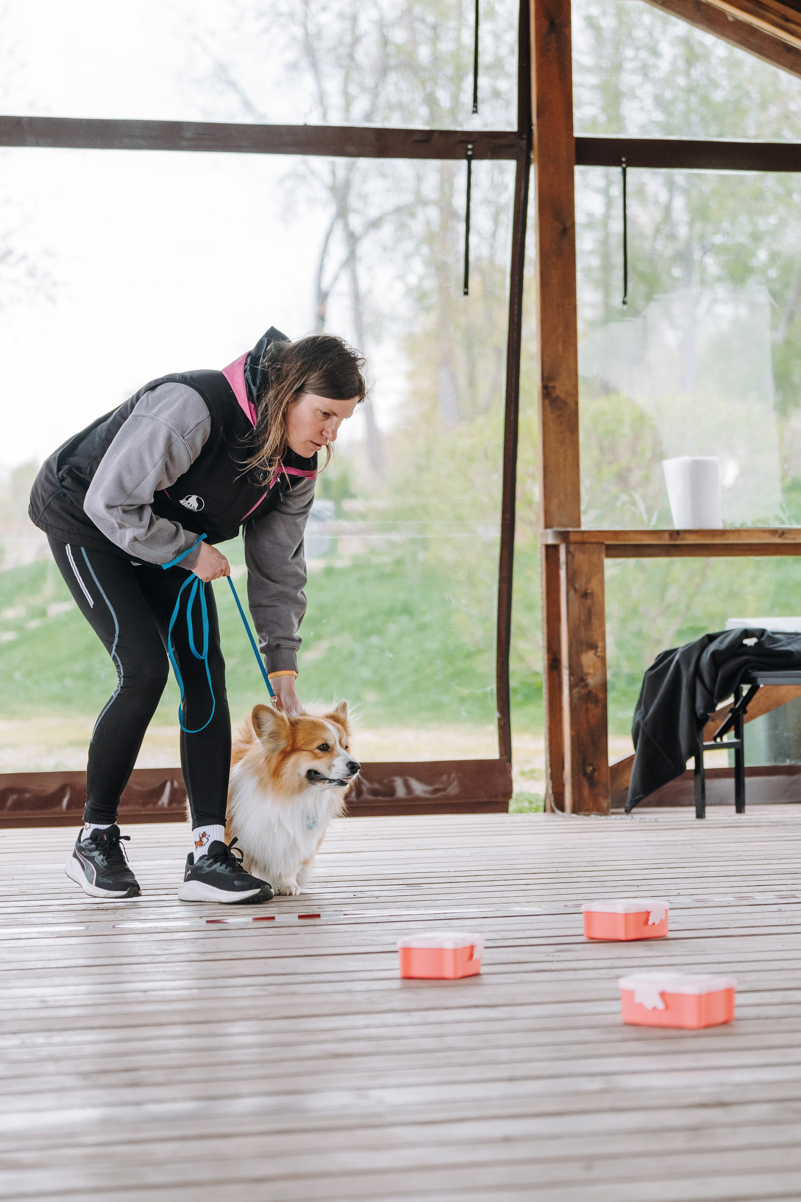 Соревнования по ноузворку в Лосево. Фотограф анималист в Спб недорого Олеся Майорова