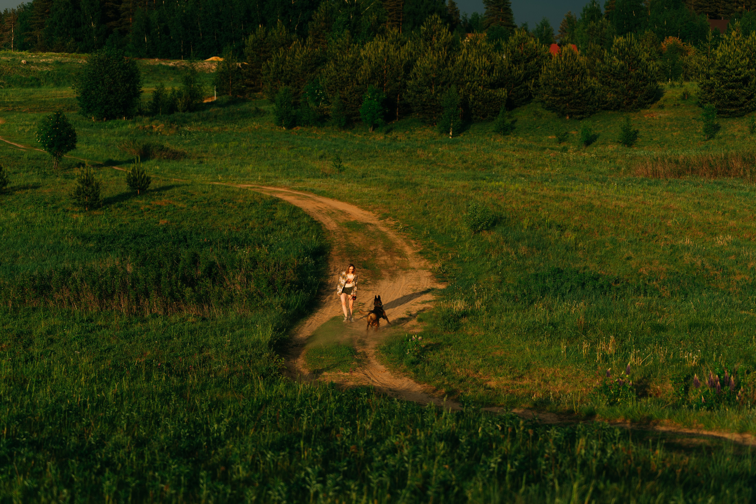 Фотоссесия с двумя собакми Спб. Фотограф анималист в Спб недорого Олеся Майорова