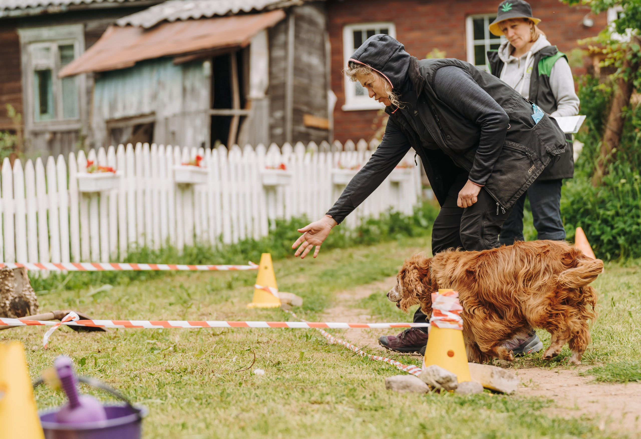 Соревнования по ноузворку. Фотограф анималист в Спб недорого Олеся Майорова