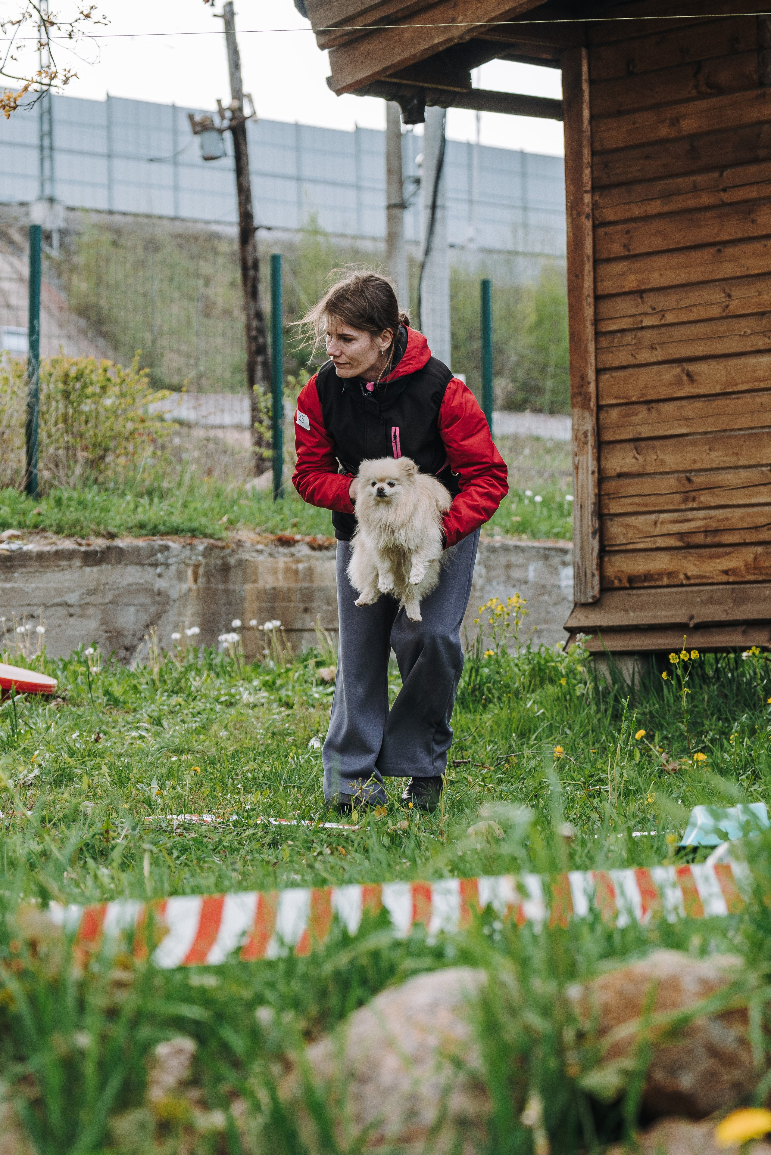 Соревнования по ноузворку в Лосево. Фотограф анималист в Спб недорого Олеся Майорова