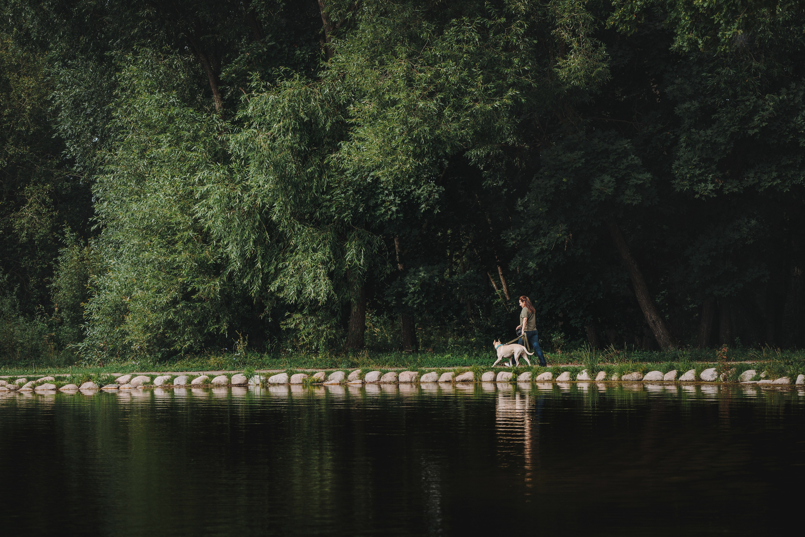 Оля и Гламур. Фотограф анималист в Спб недорого Олеся Майорова
