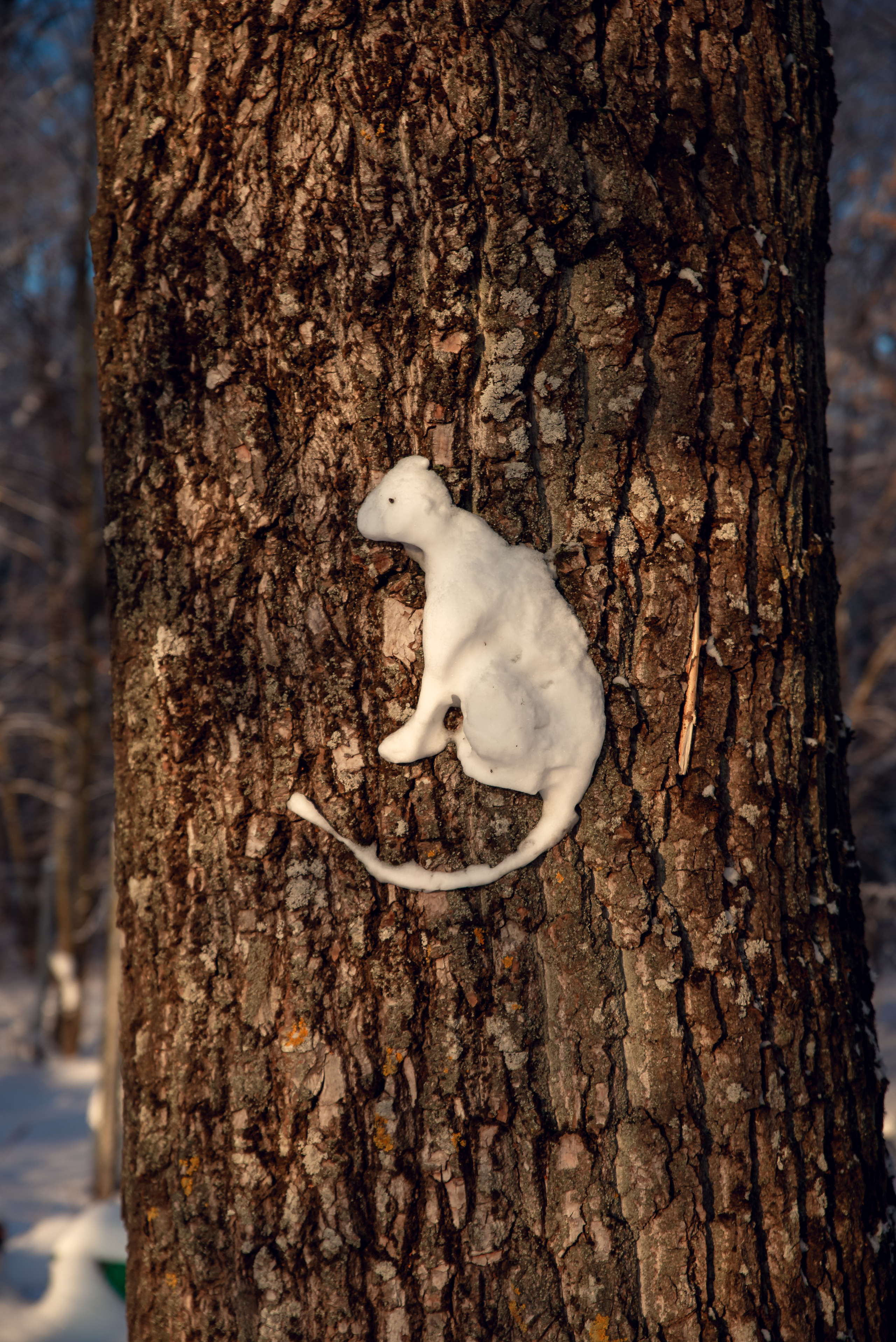 Зимушка зима. Фотограф Крещение Венчание Москва