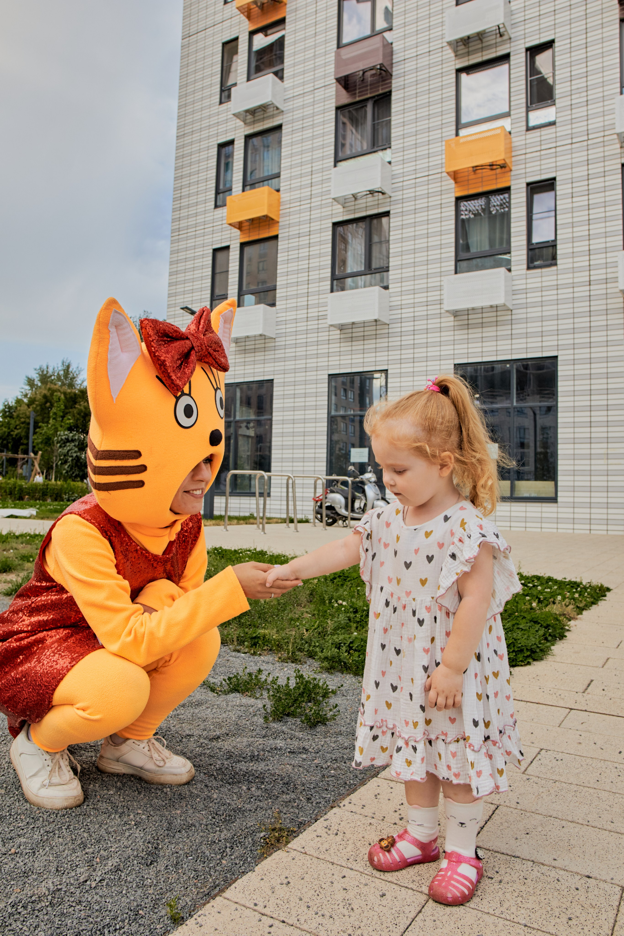 Три кота. Фотограф Москва