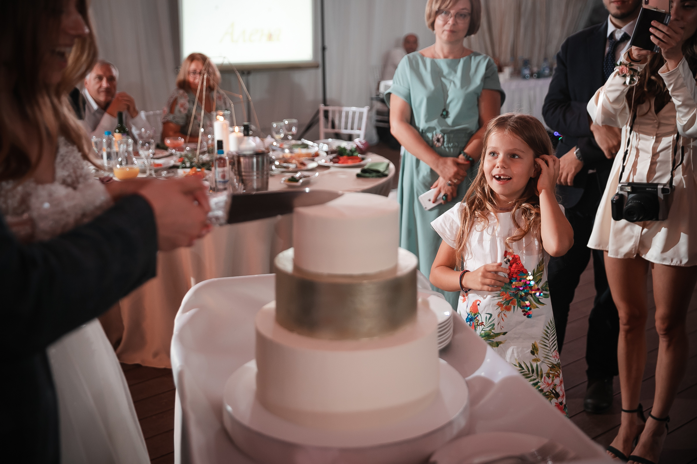 Алексей и Алена. Организация и координация свадебных и семейных торжеств