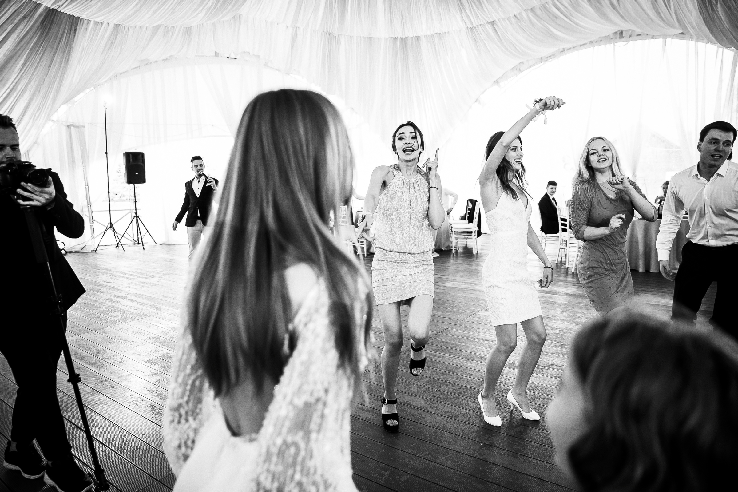 Алексей и Алена. Организация и координация свадебных и семейных торжеств