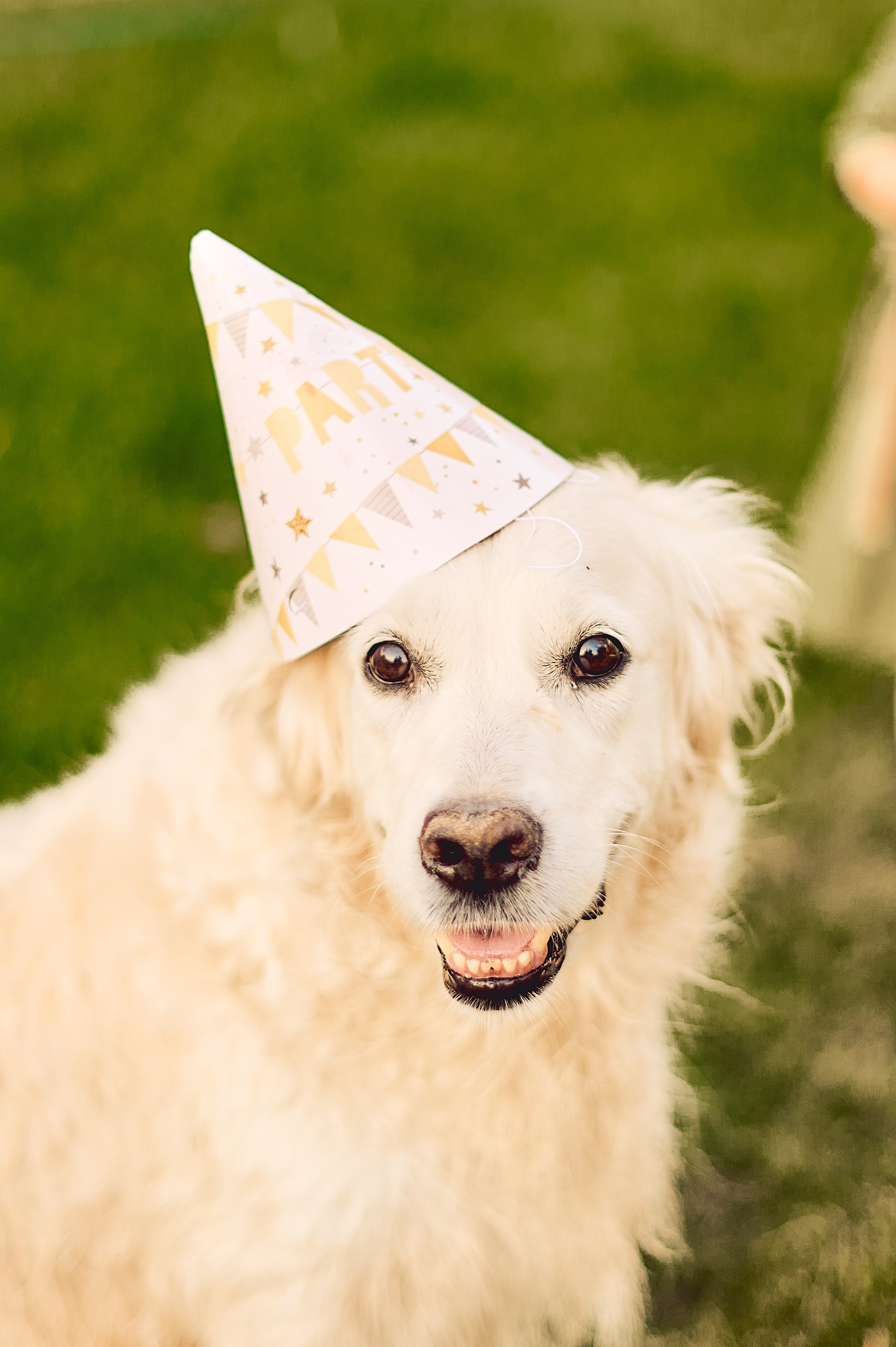МАРТУШЕ 18. Свадебный и семейный фотограф РИТА БОЧКАРЁВА