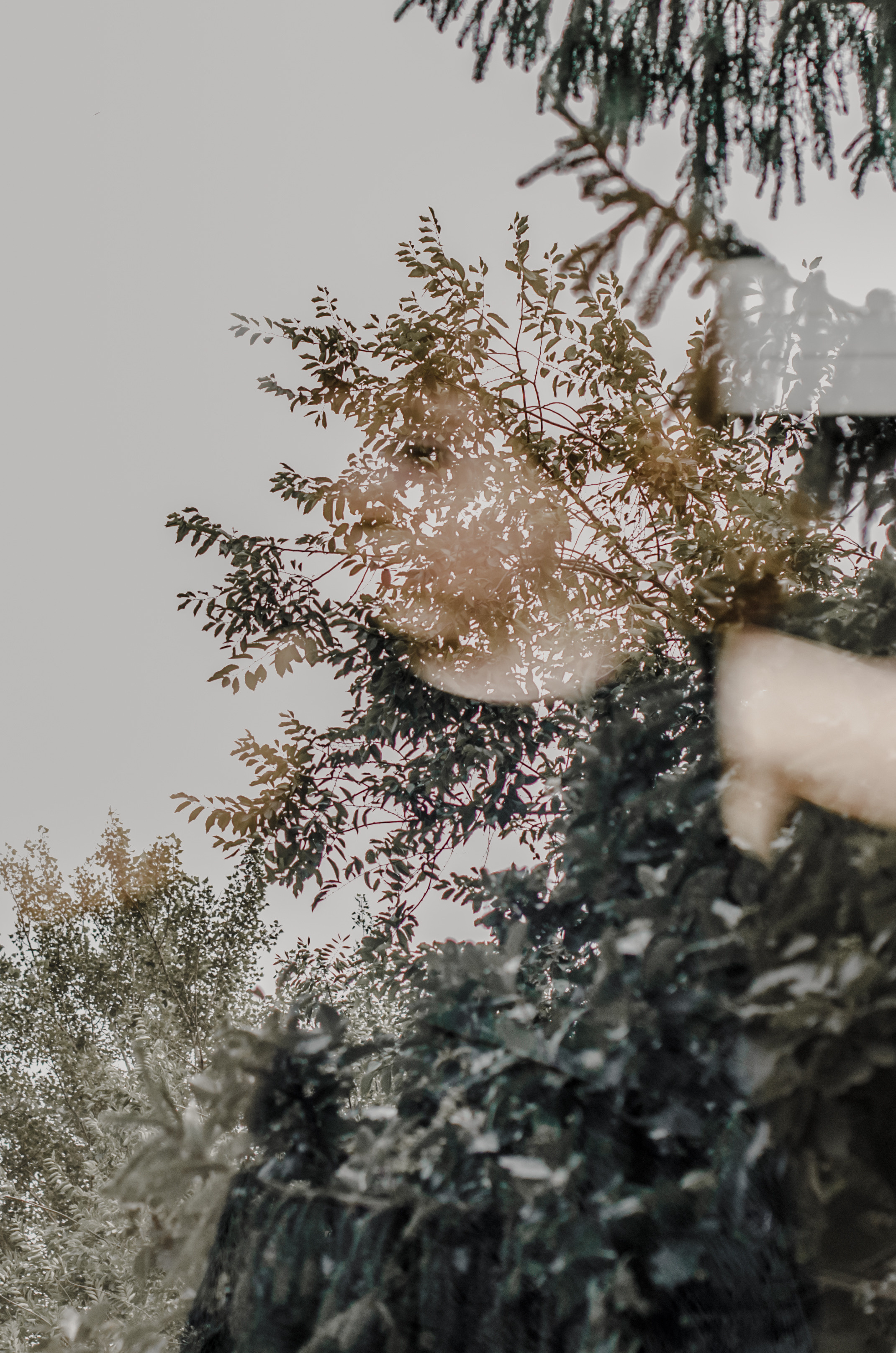 MultiEx. Dima Bartenev self-photography