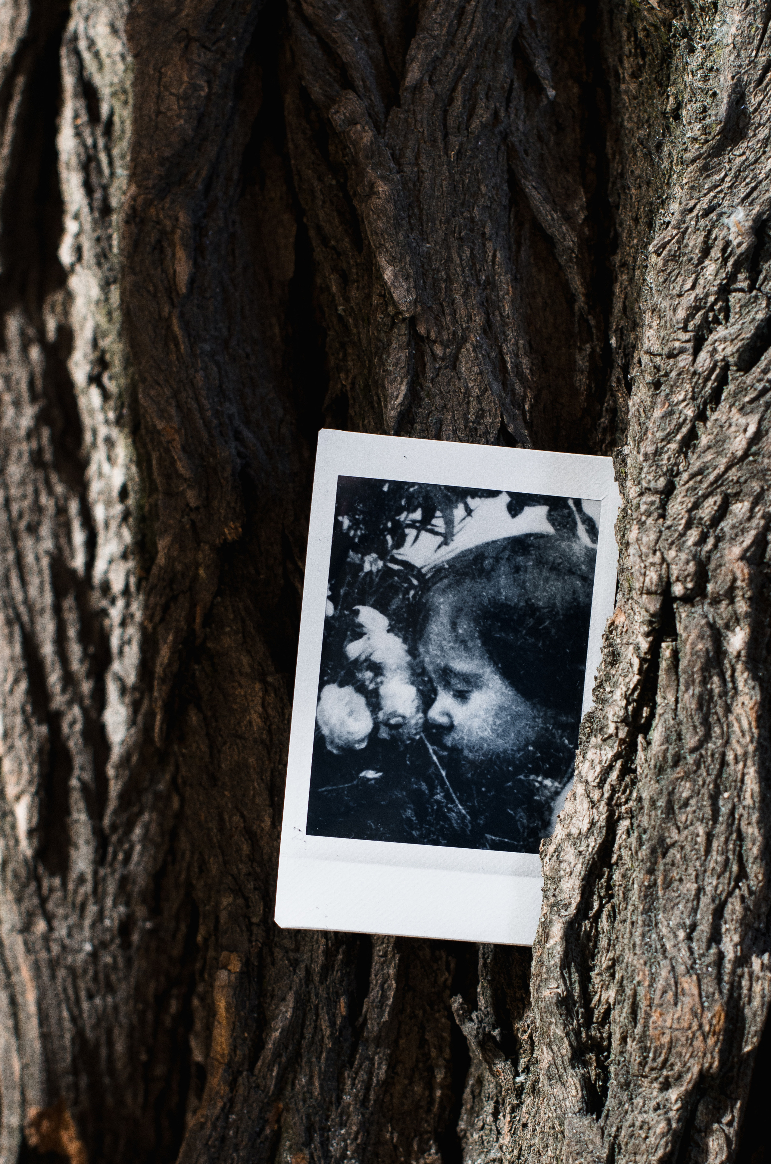 Instant Print. Dima Bartenev self-photography