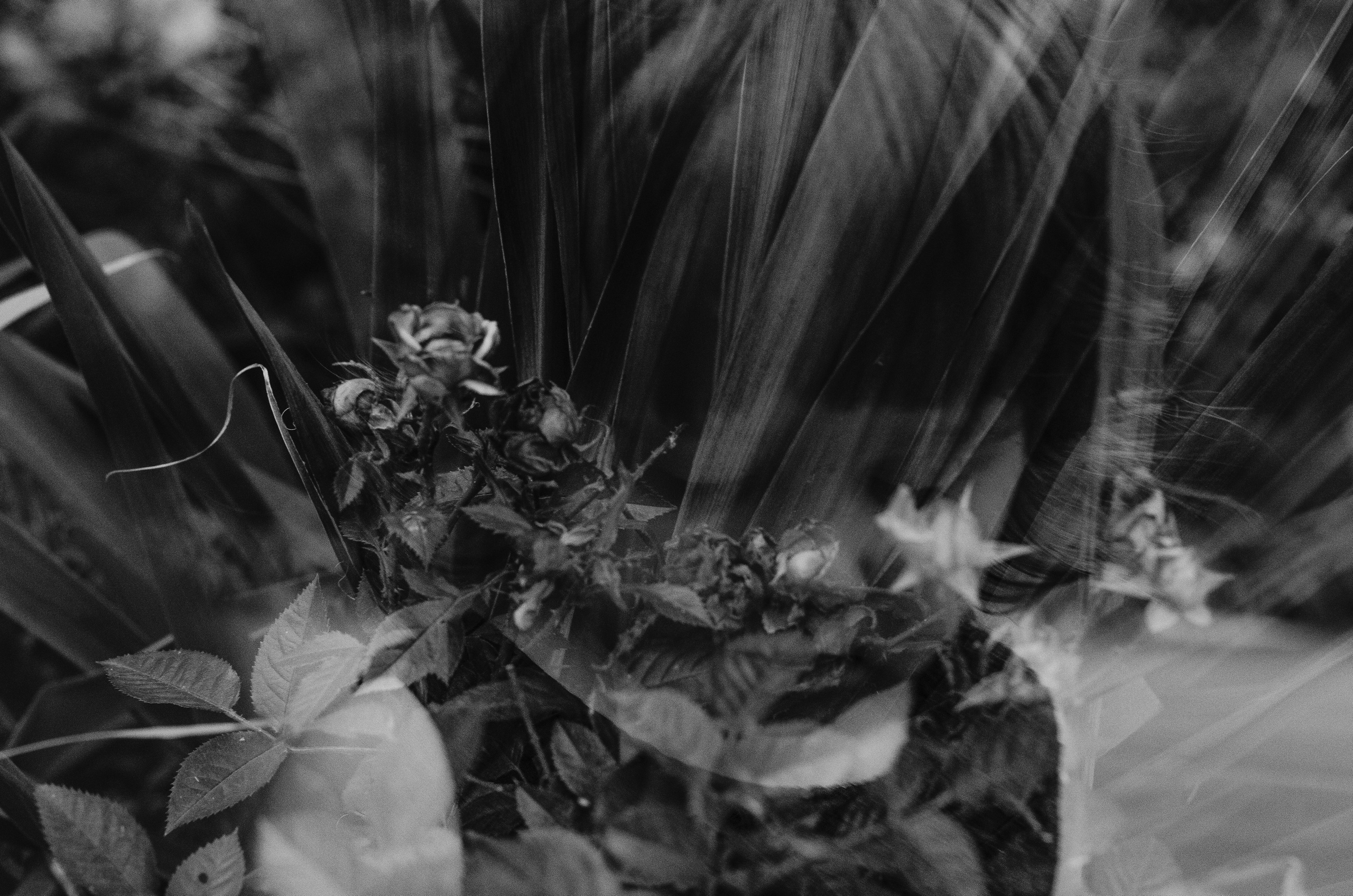 MultiEx. Dima Bartenev self-photography