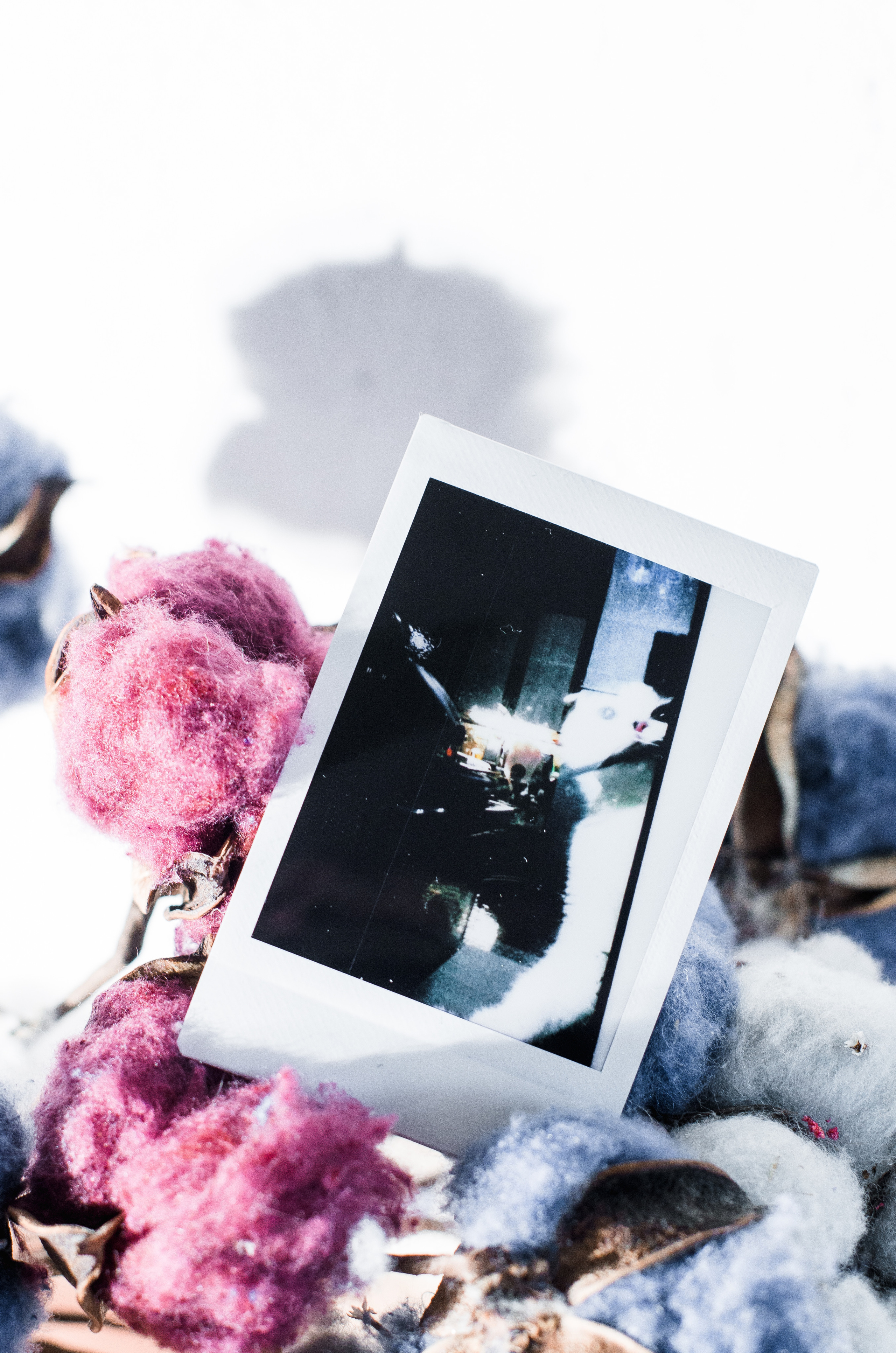 Instant Print. Dima Bartenev self-photography