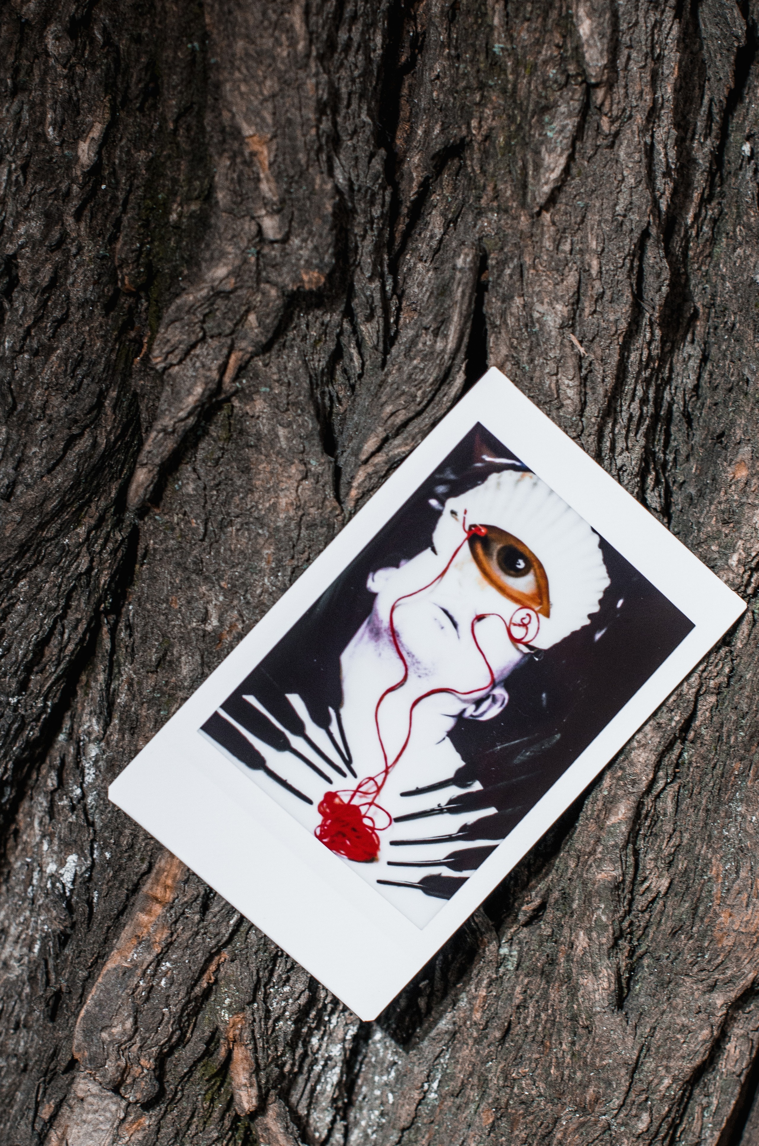 Instant Print. Dima Bartenev self-photography