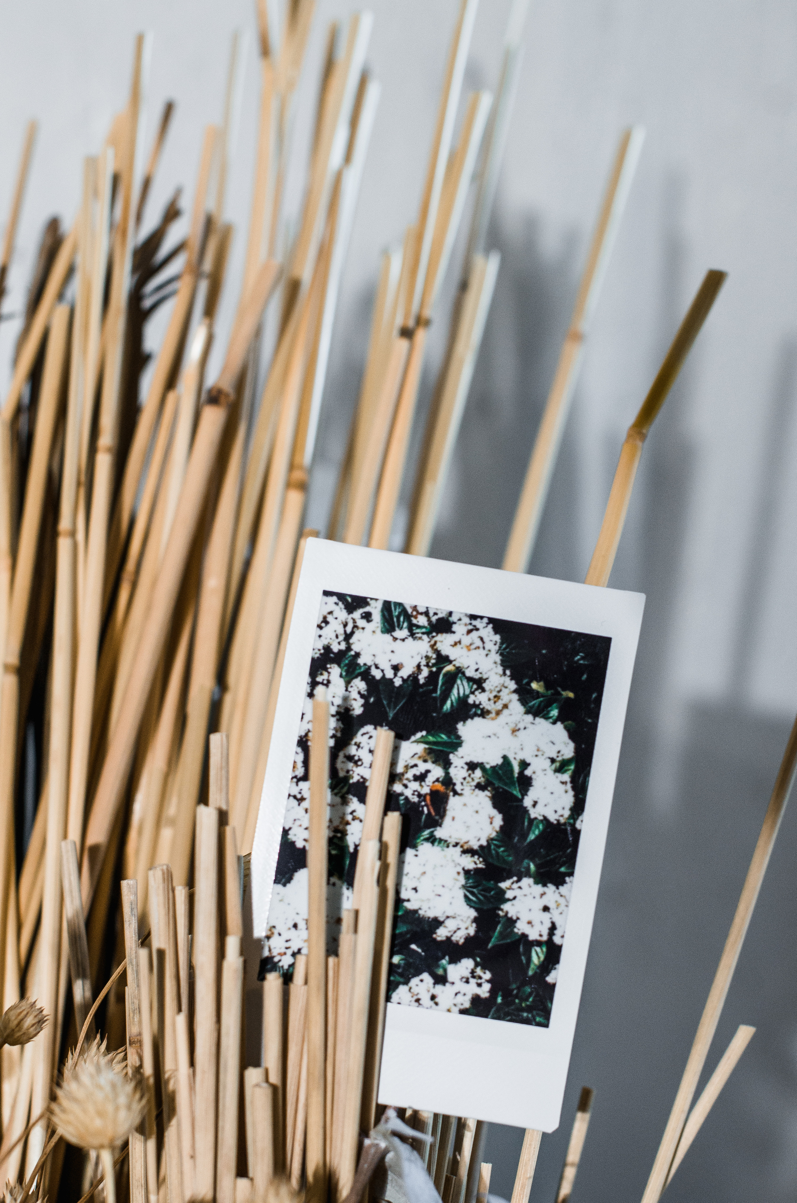 Instant Print. Dima Bartenev self-photography