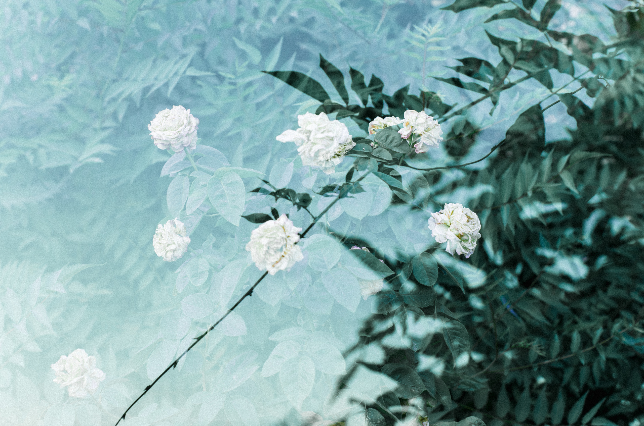 MultiEx. Dima Bartenev self-photography