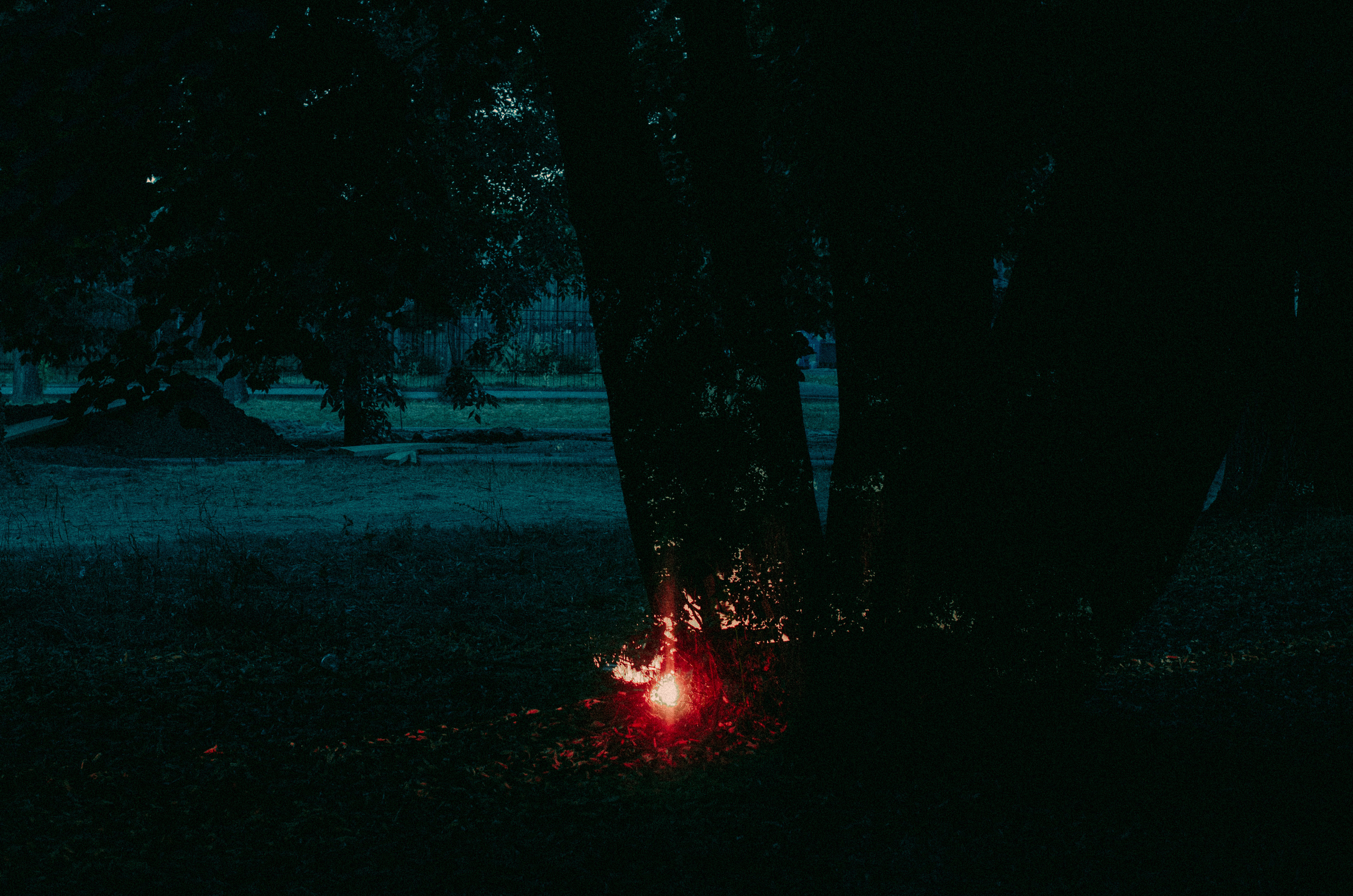 MultiEx. Dima Bartenev self-photography