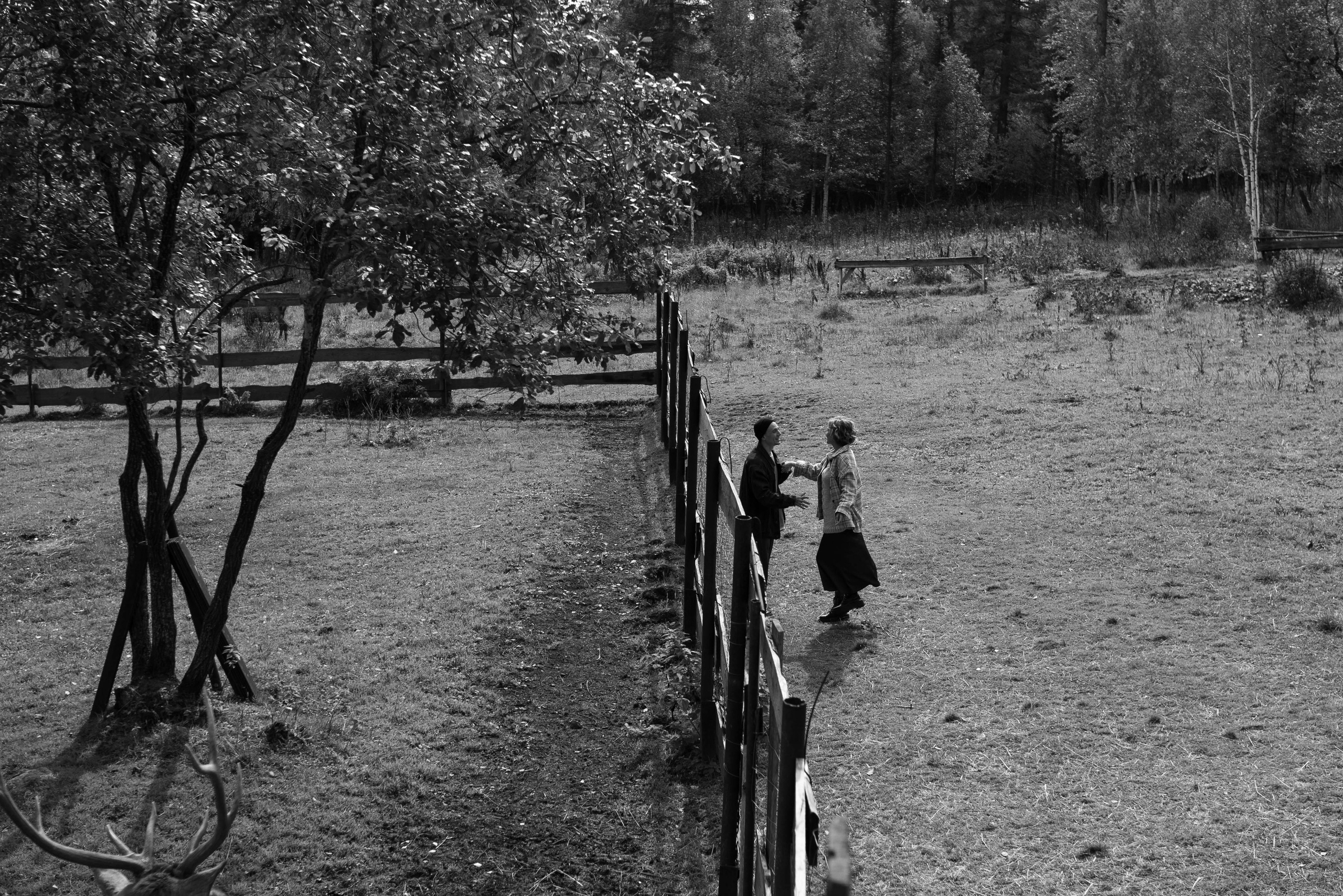 Александр и Ксения. Семейный и детский фотограф в Челябинске Елена Вышегородцева