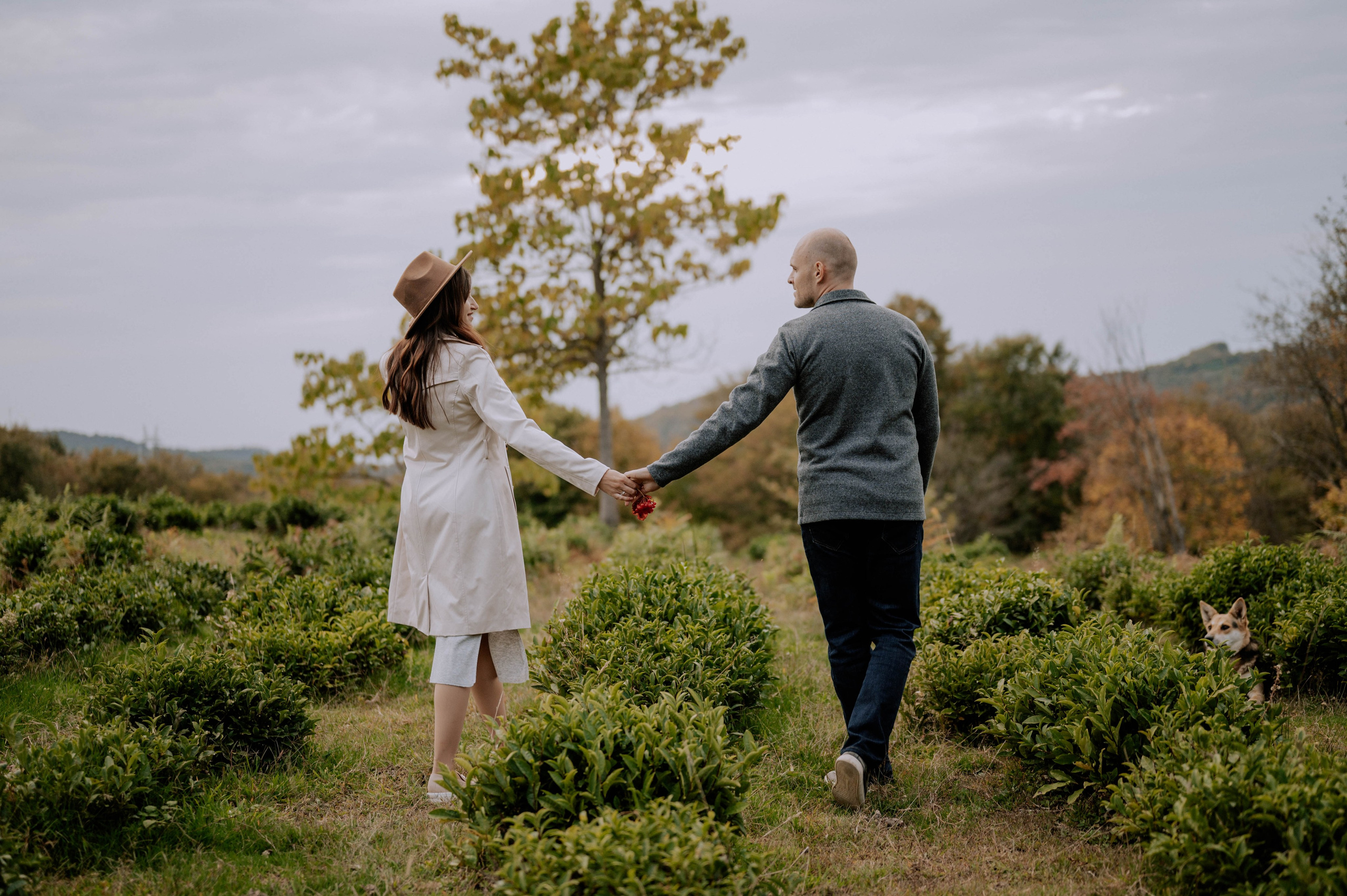 Таня и Денис. Фотограф Сочи Кисматова Анастасия