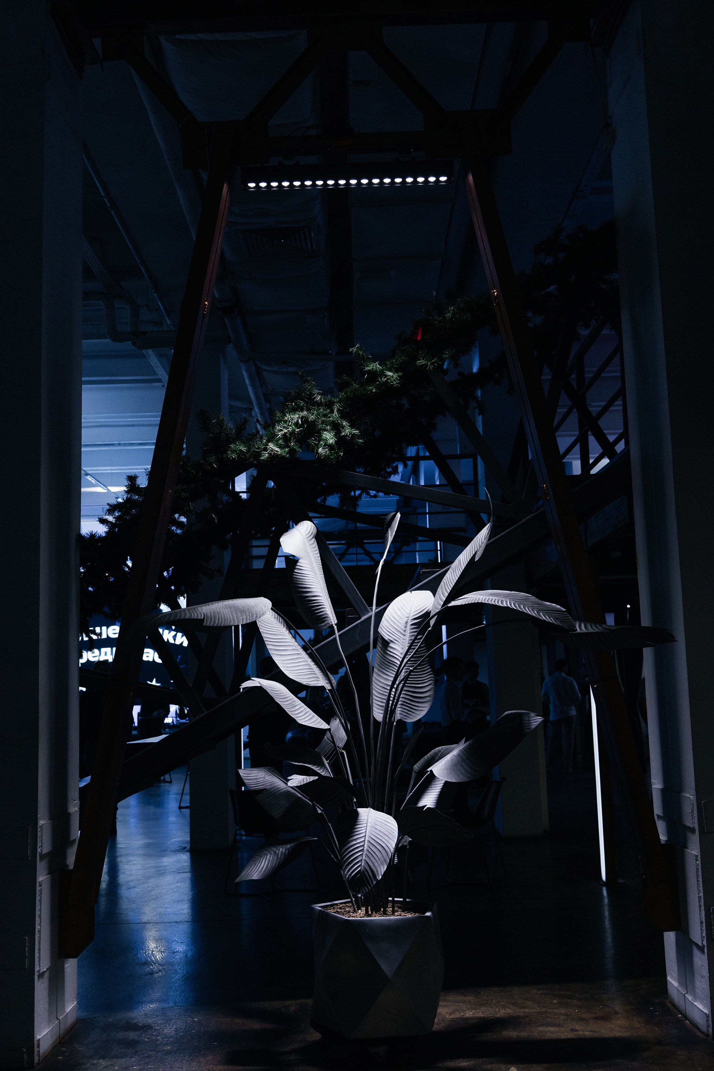 Чародеи 2ГИС. Фотограф в Москве Дмитрий Жарков