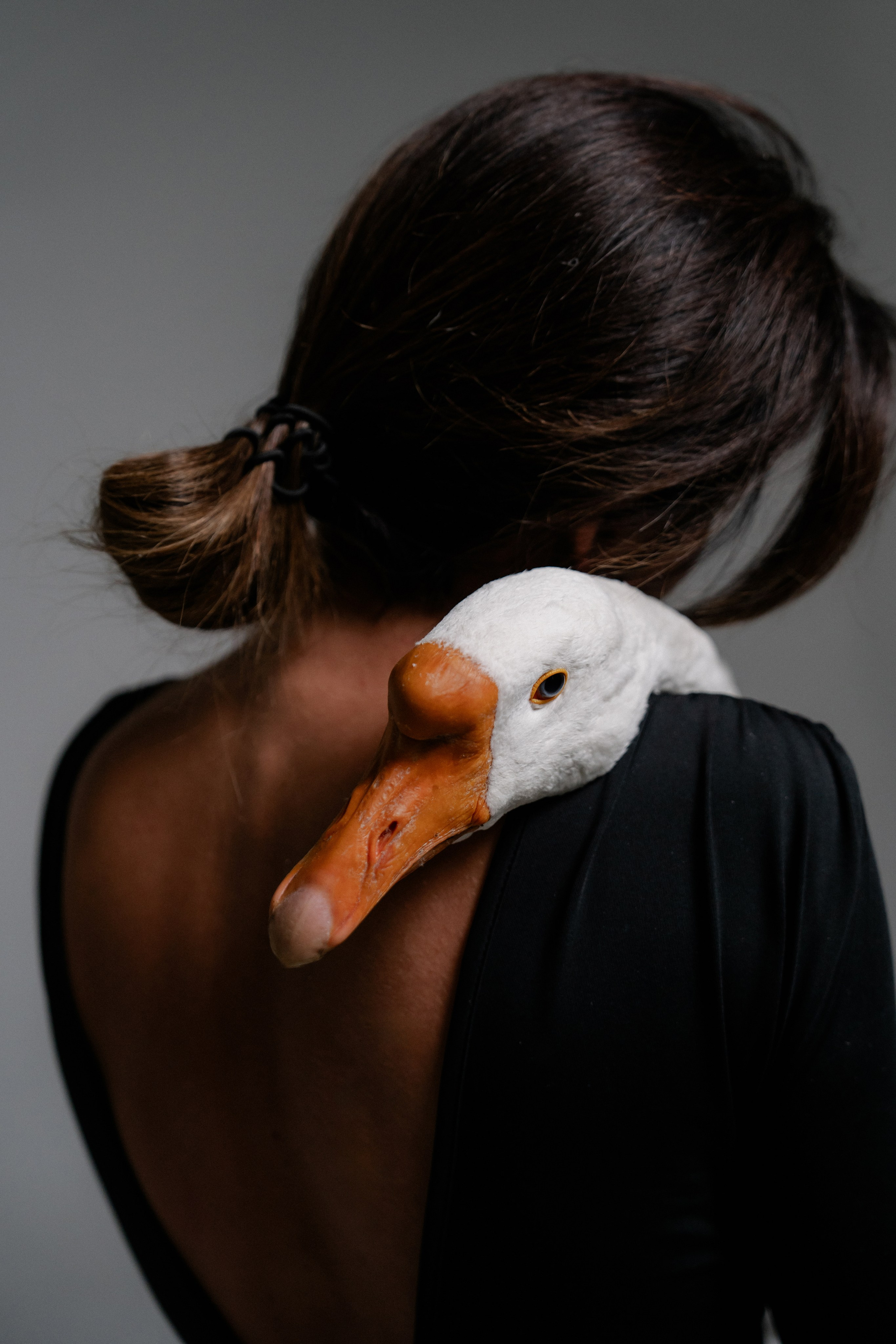 Юля и Гусь. Фотограф на мероприятие