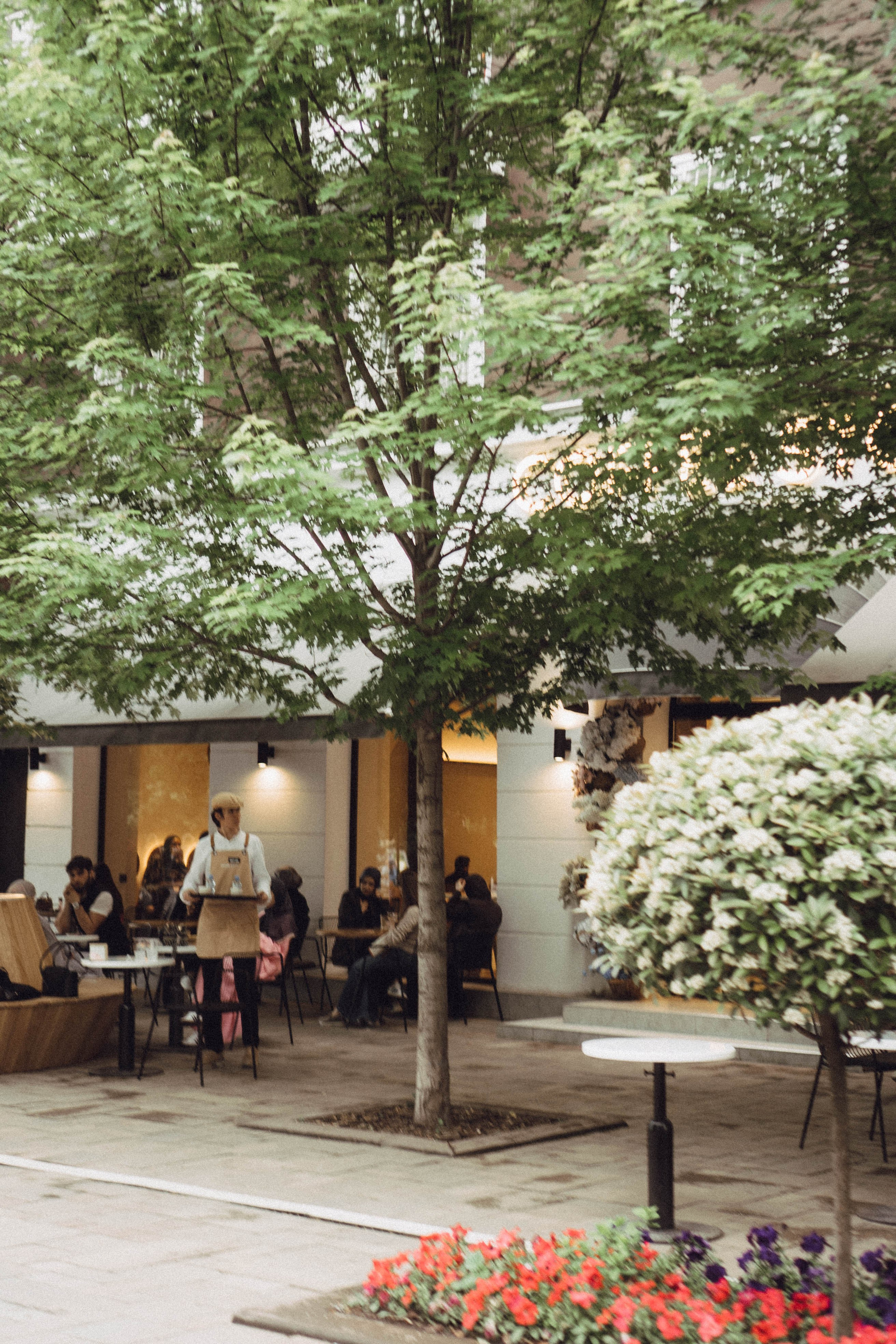 Кавказ. Профессиональный фотограф, Санкт-Петербург — Виктория Богомолова