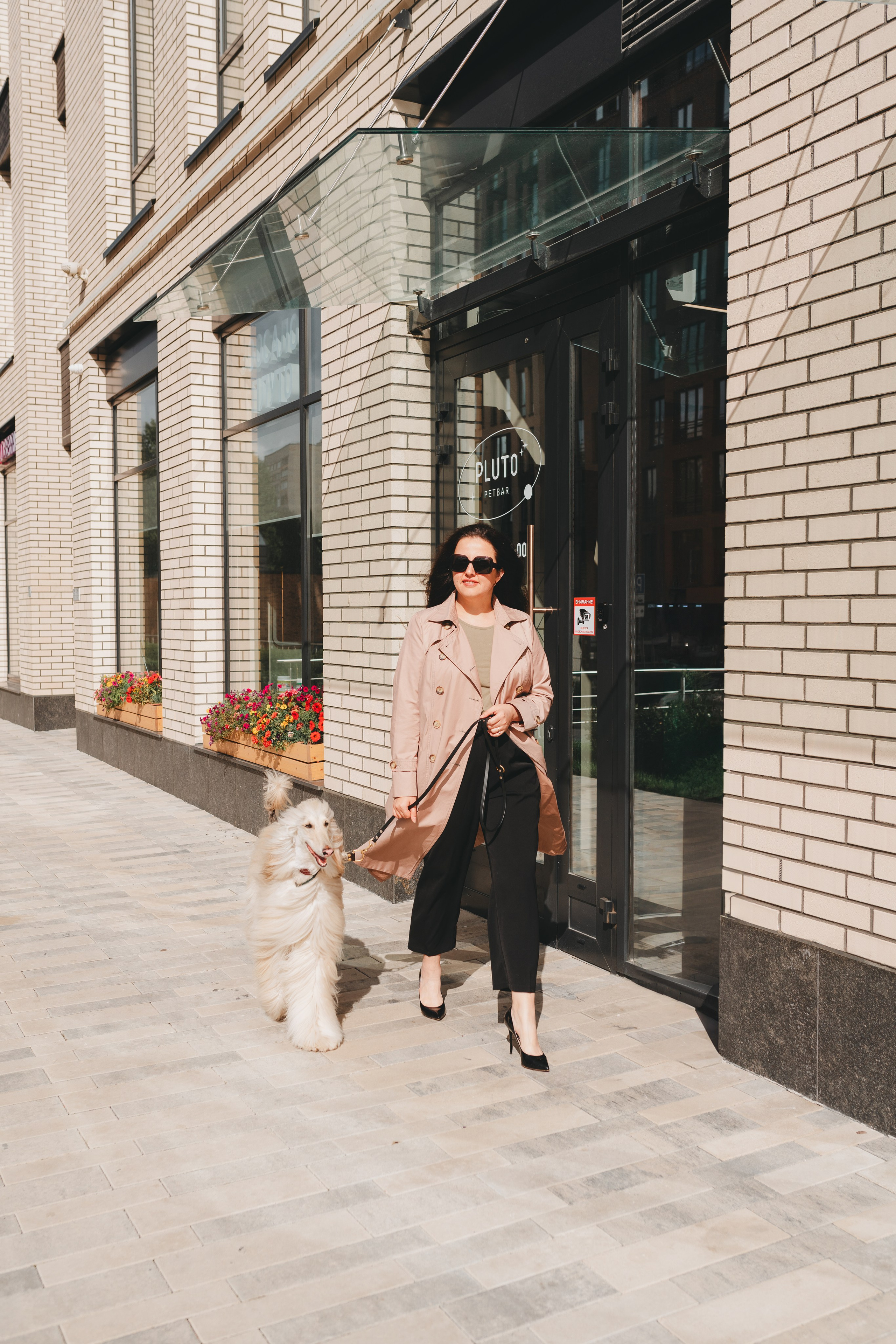 Груминг — салон. Фотограф анималист Осипчикова Мария